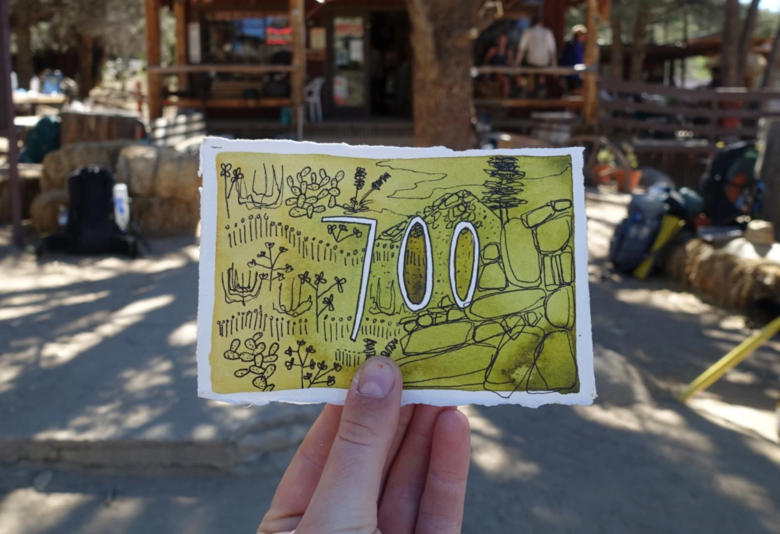 700.jpg