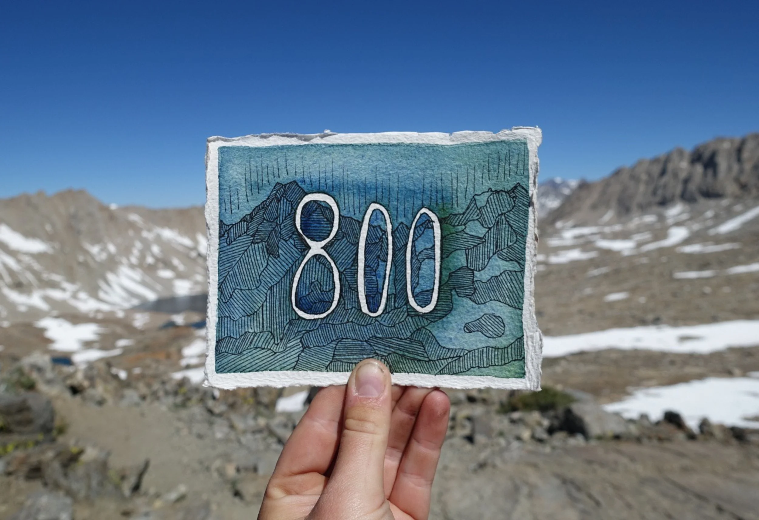 800.jpg