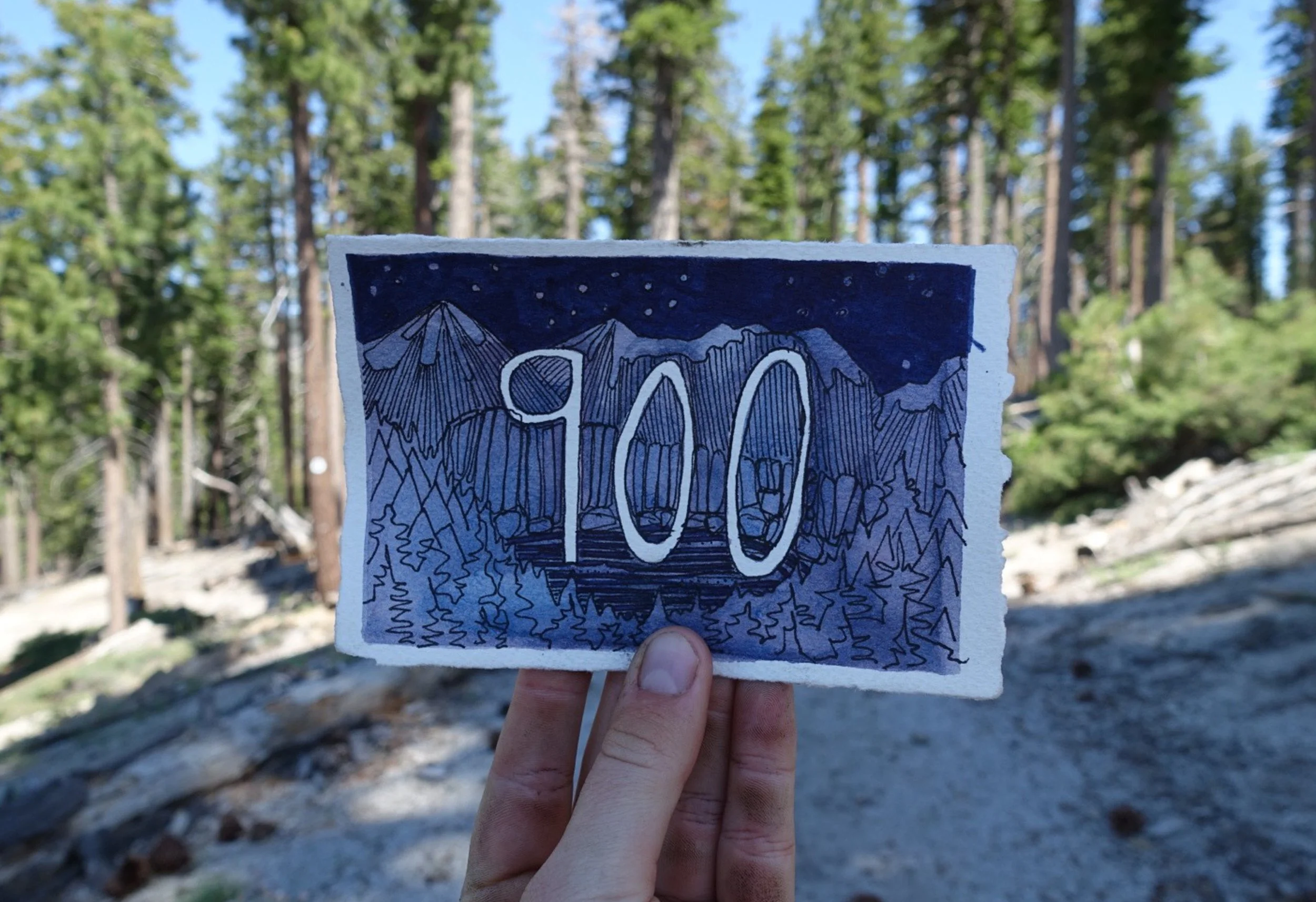 900.jpg