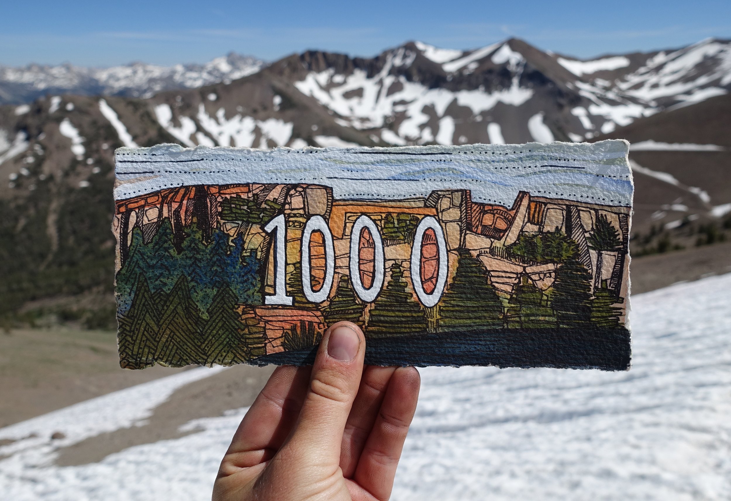 1000.jpg