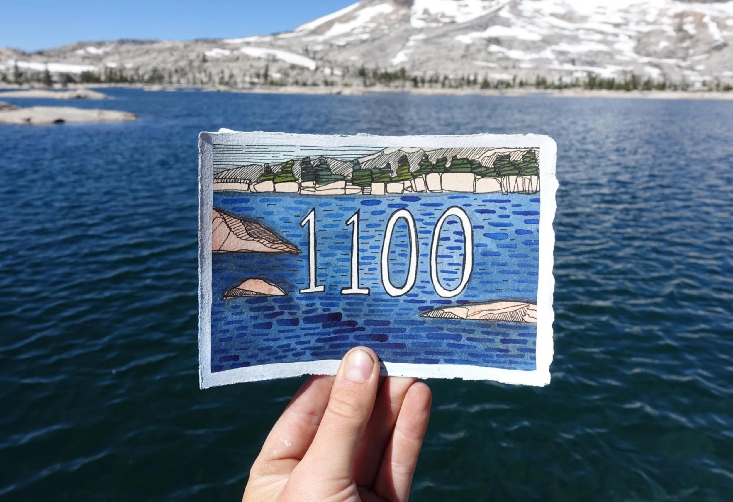 1100.jpg