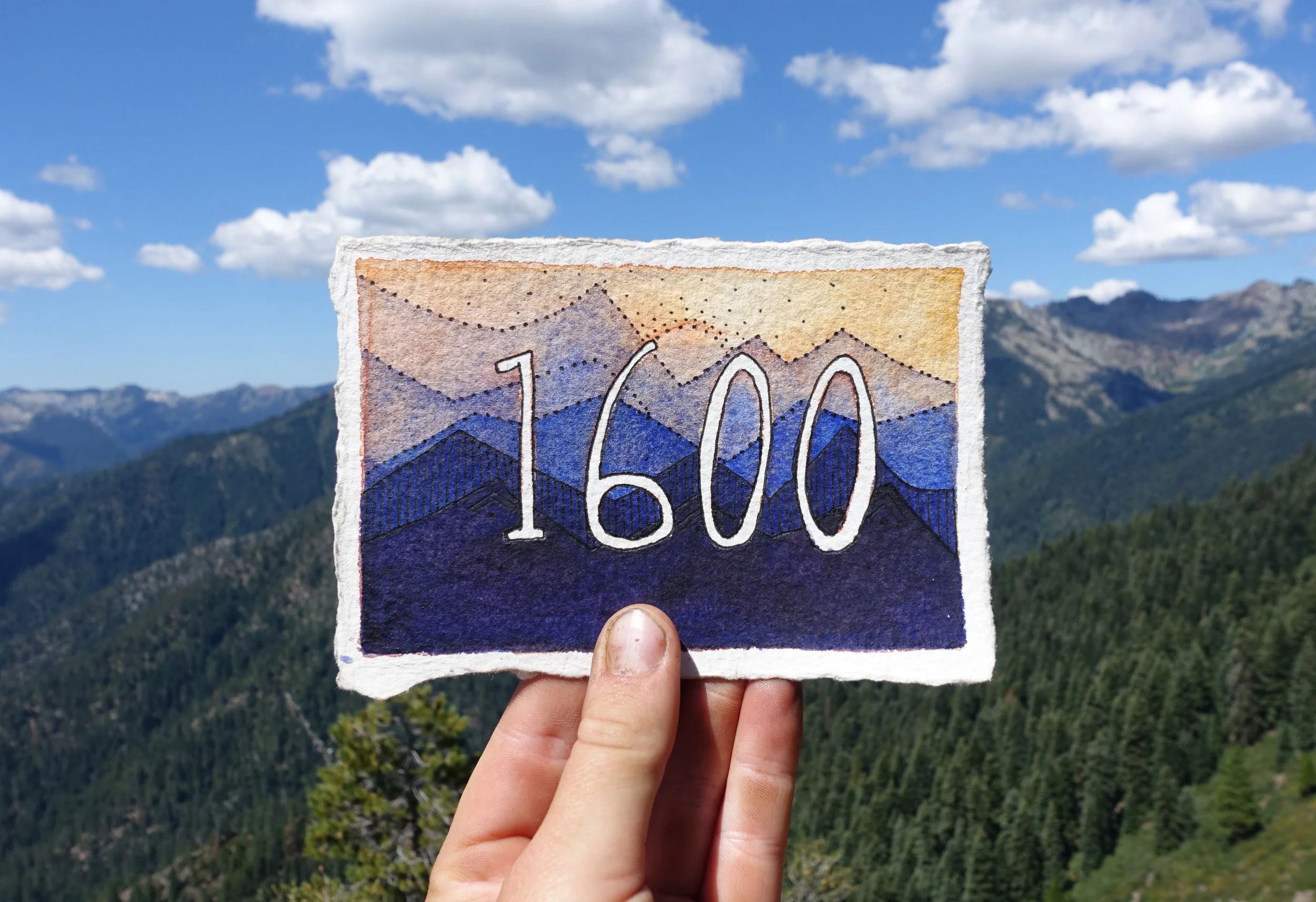 1600.jpg