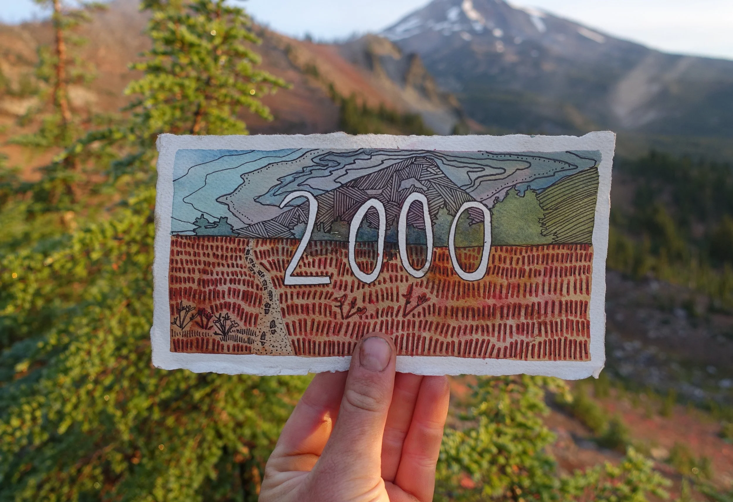 2000.jpg