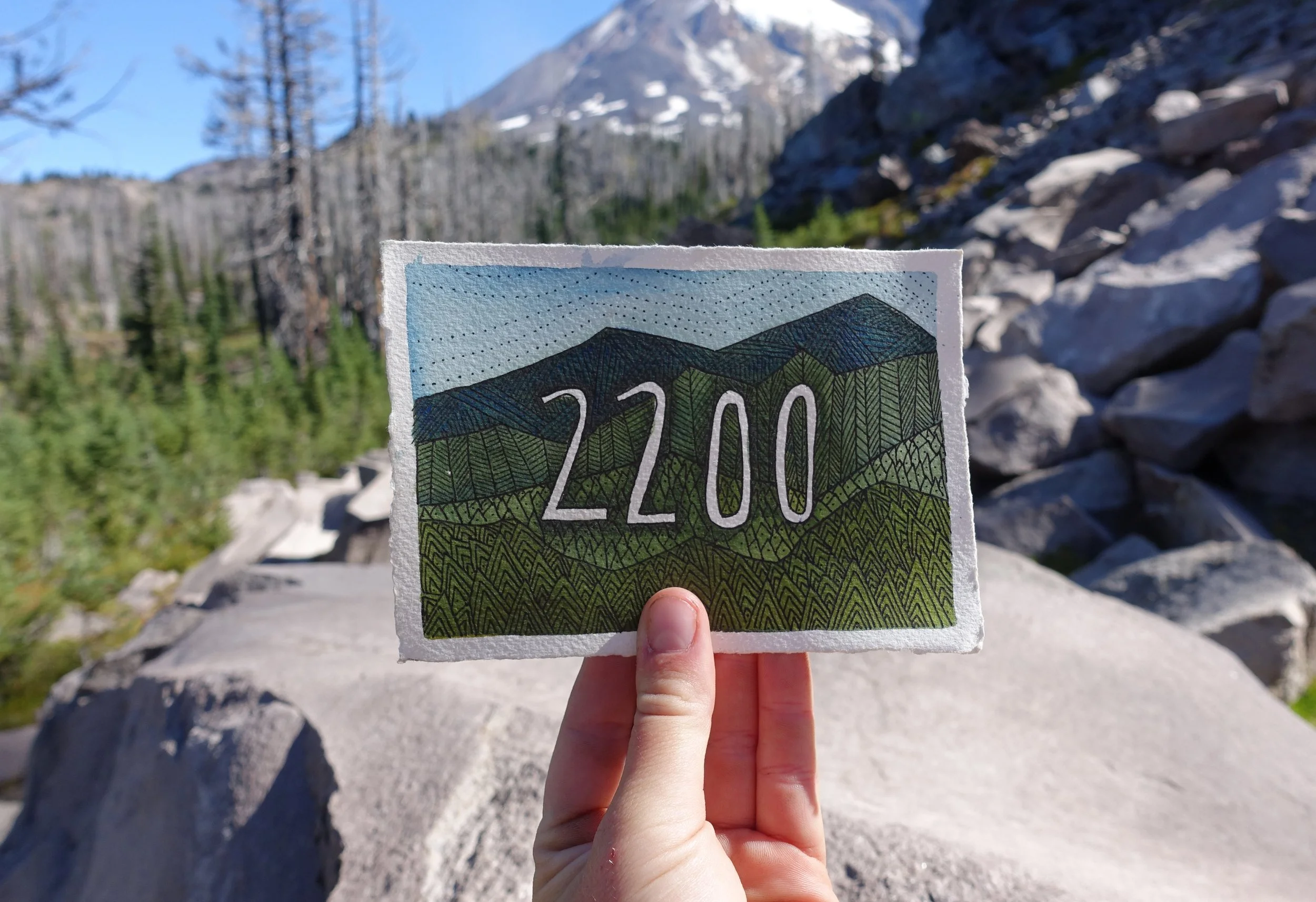 2200.jpg