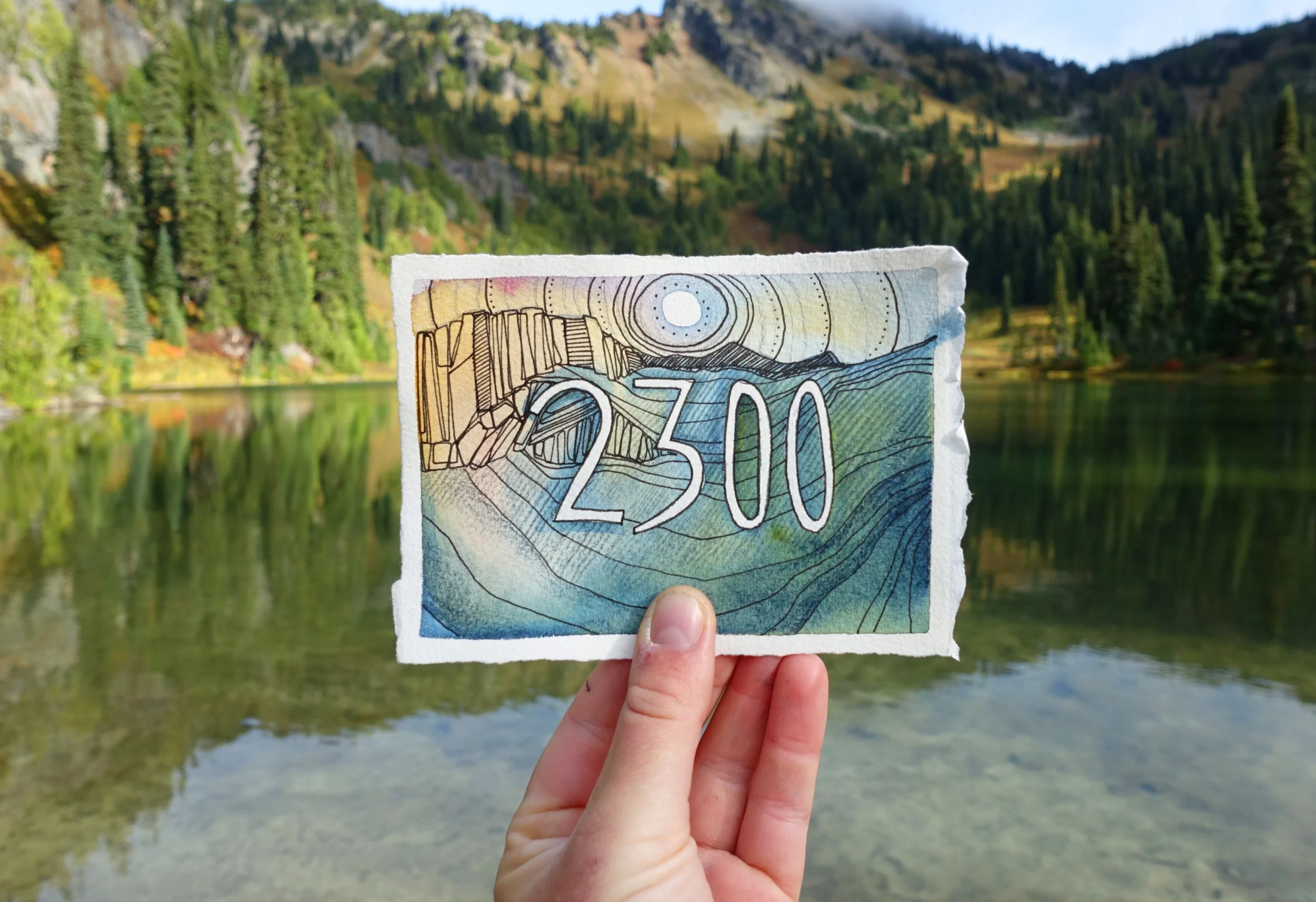 2300.jpg