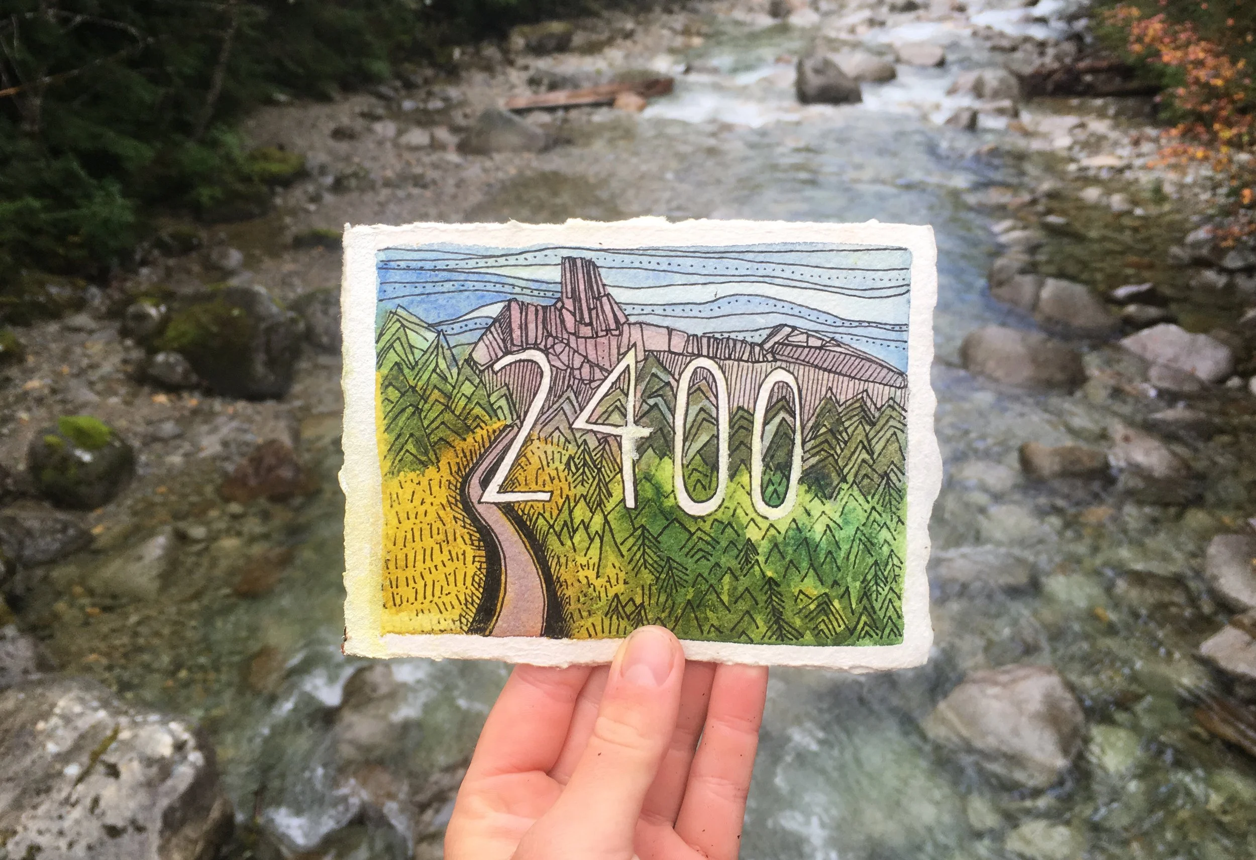 2400.jpg