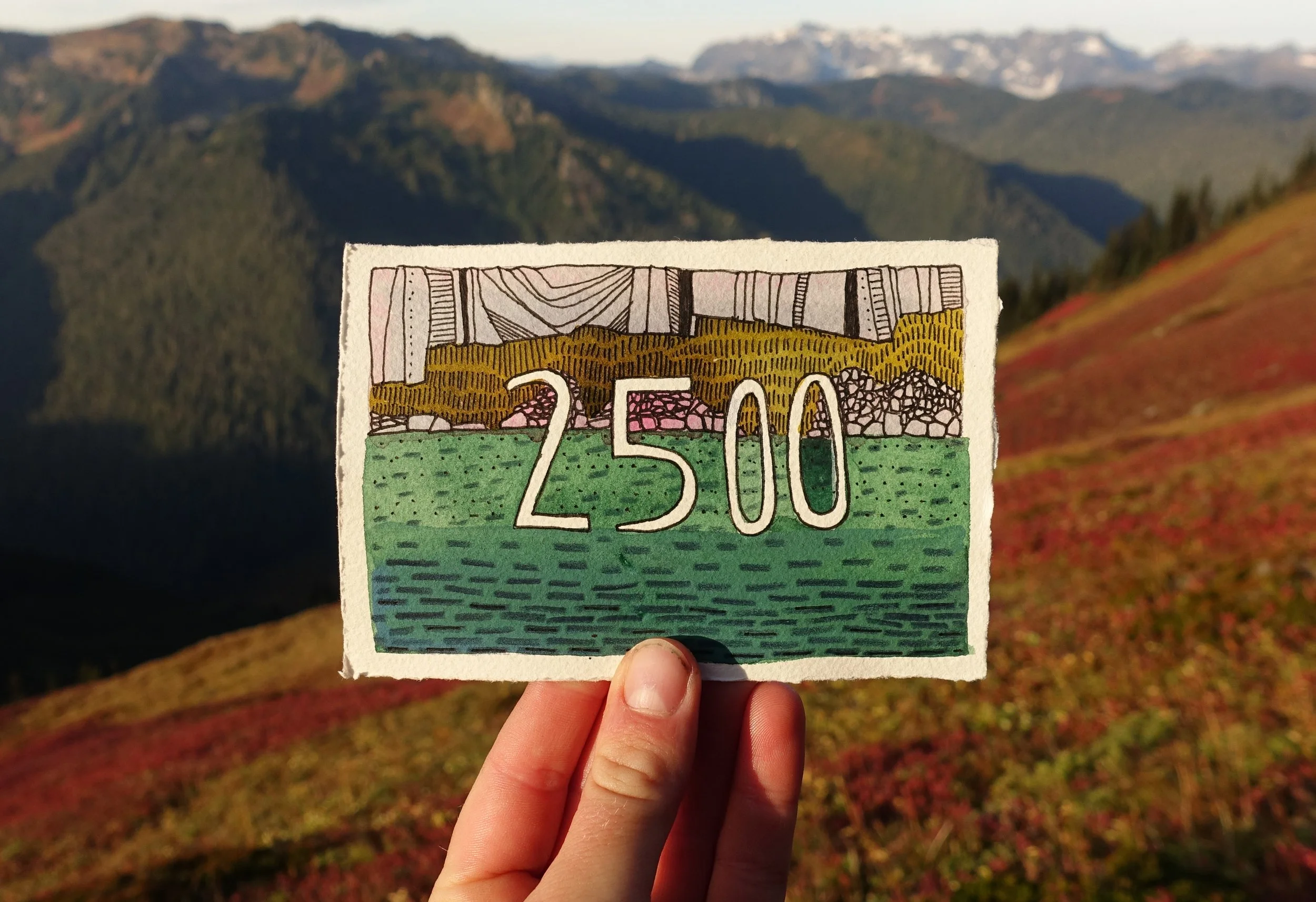 2500.jpg