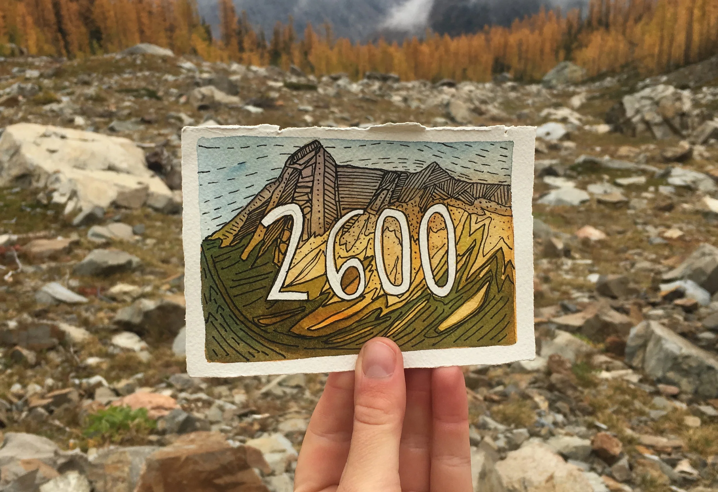 2600.jpg