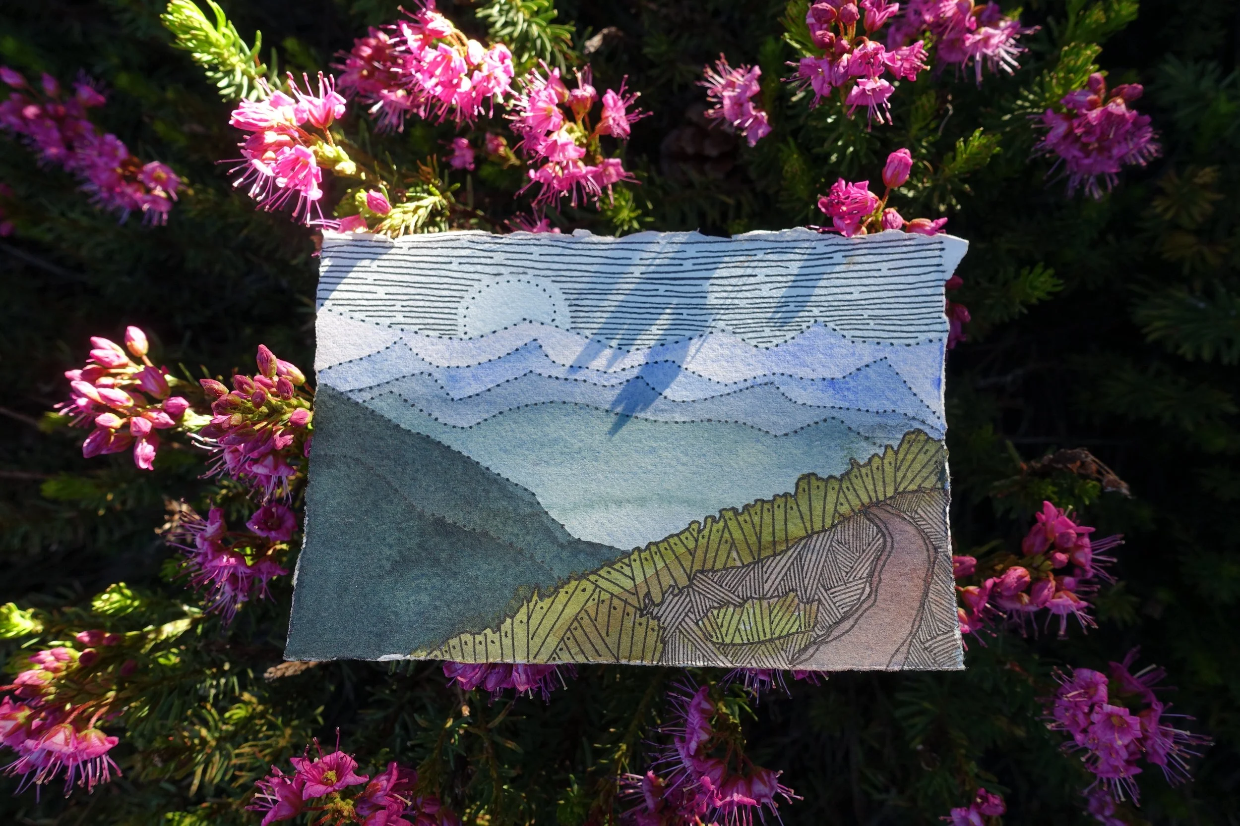 PCT quick postcard 1.jpg