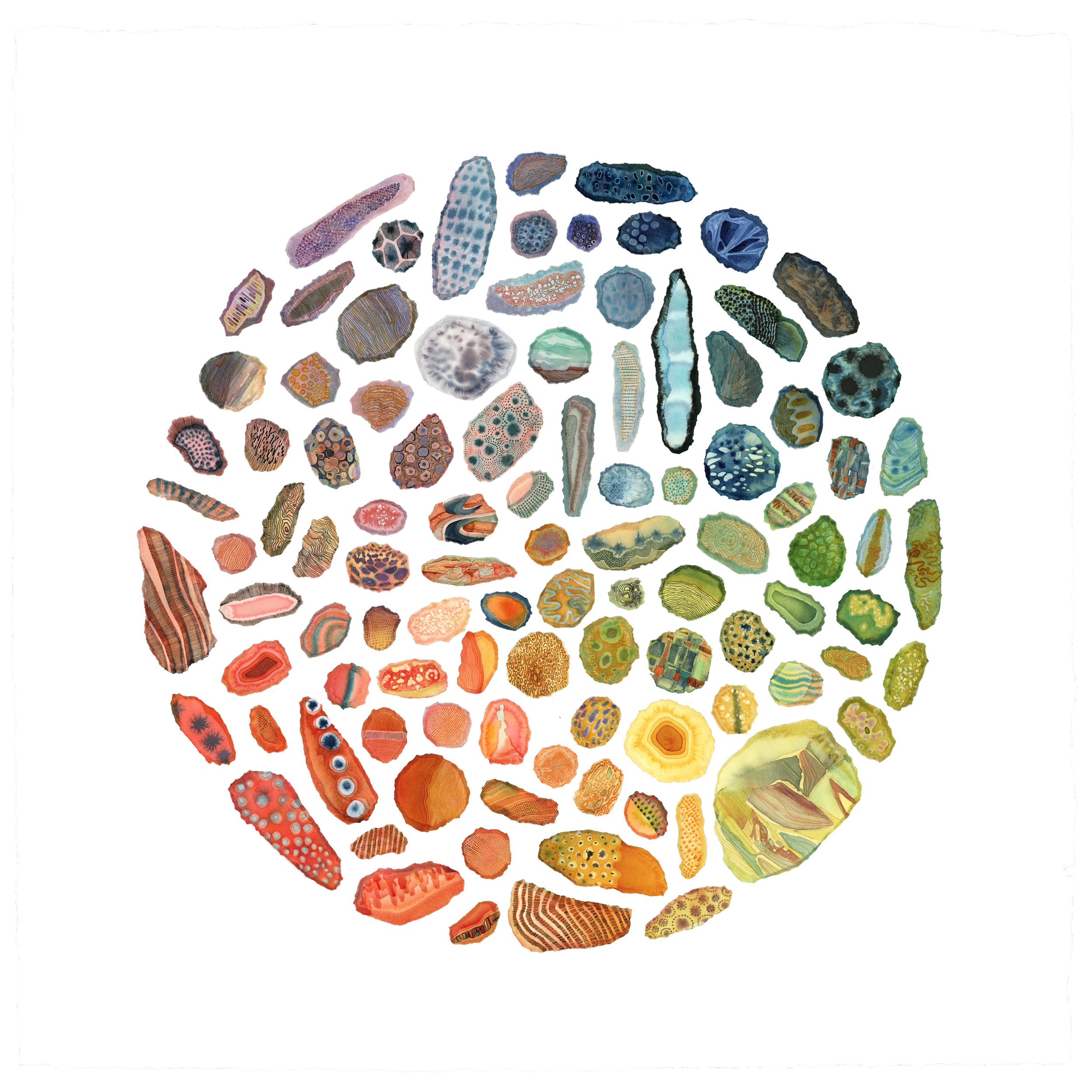 Collection of Rocks 2024 print.png