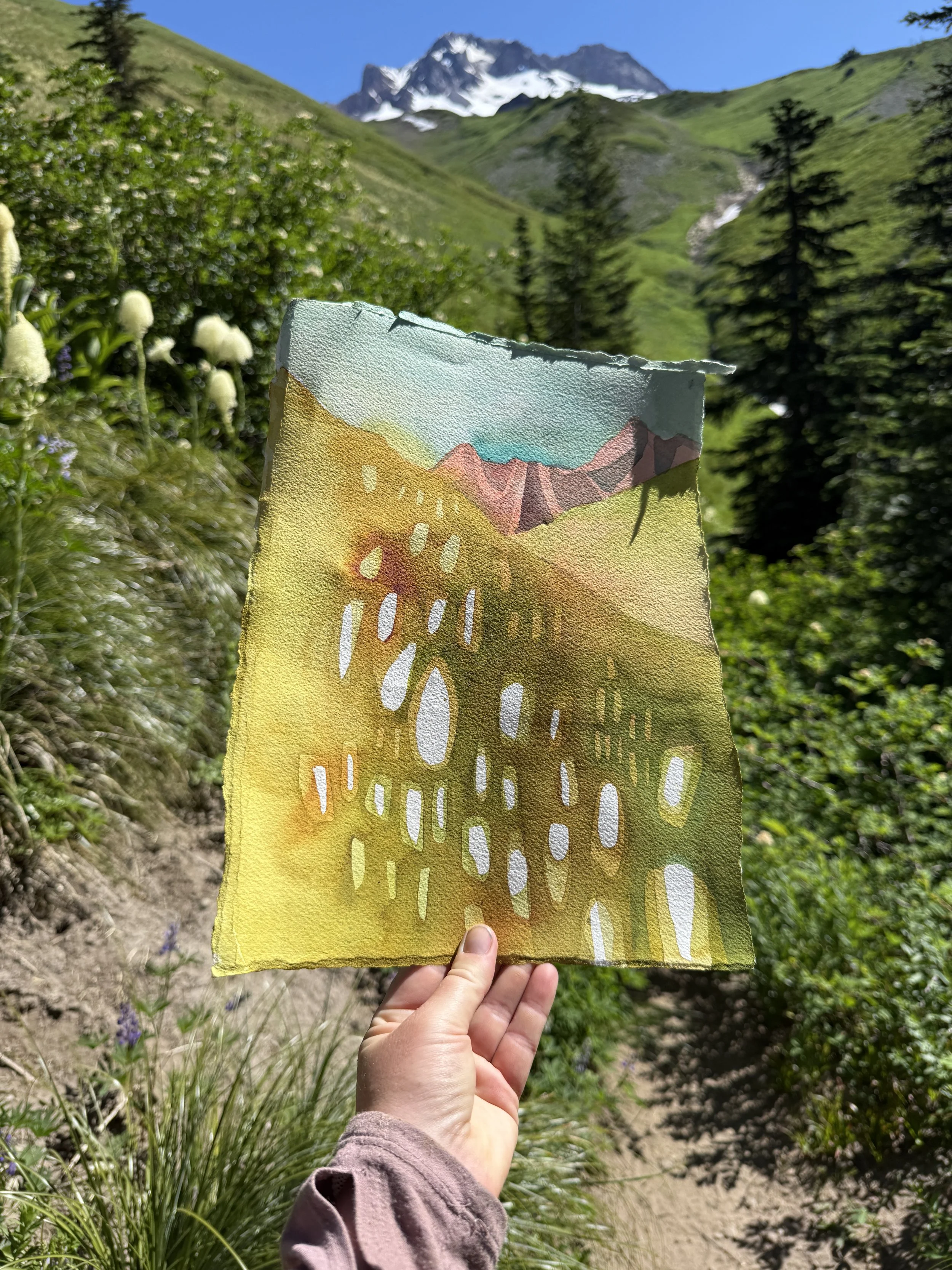Mountainmeadow_1.JPG