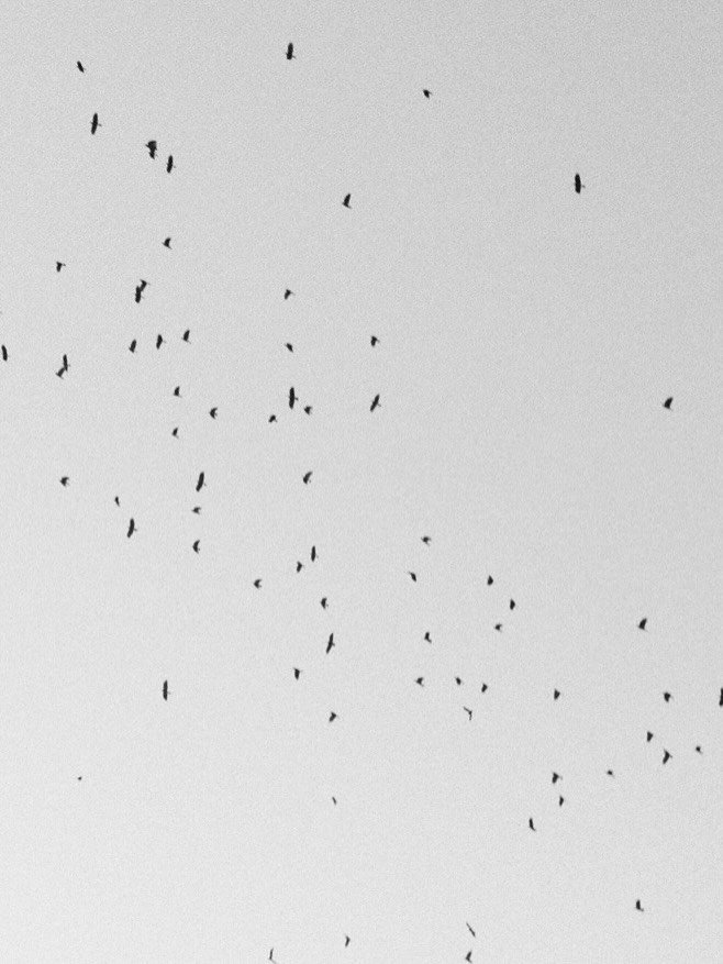 I&rsquo;ve been listening to this particular song on the daily, feeling like it&rsquo;s become a sort of theme song to the backdrop of my work and my internal world. 

I also realize I&rsquo;ve started taking photos of the evening sky after so many s