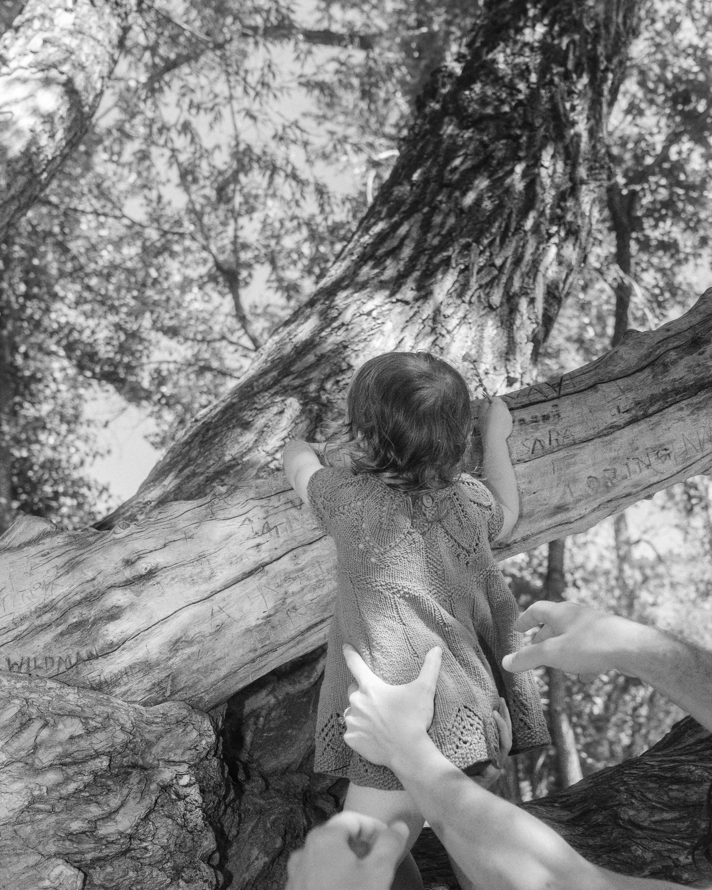 LoriMackPhotography-Denver-Colorado-Family-Photographer-01761.jpg