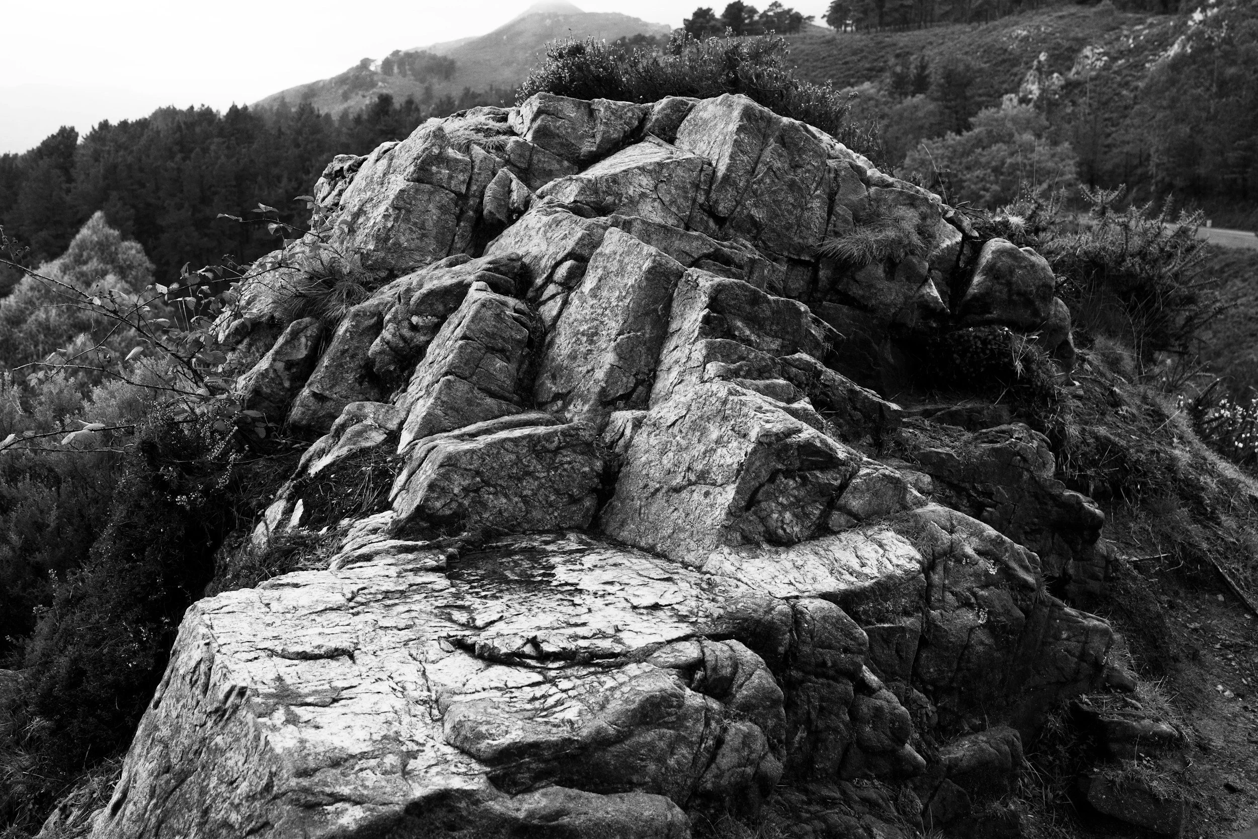 Team Development & Leadership Coaching Programs | Julie Sanders Coaching & Consulting