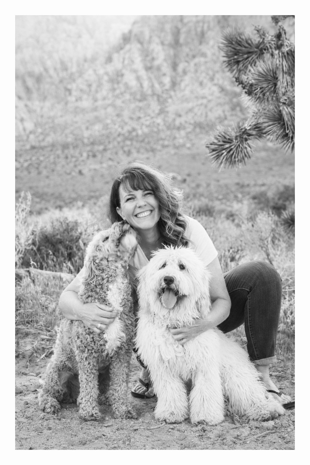 Team Development & Leadership Coaching Programs | Julie Sanders Coaching & Consulting