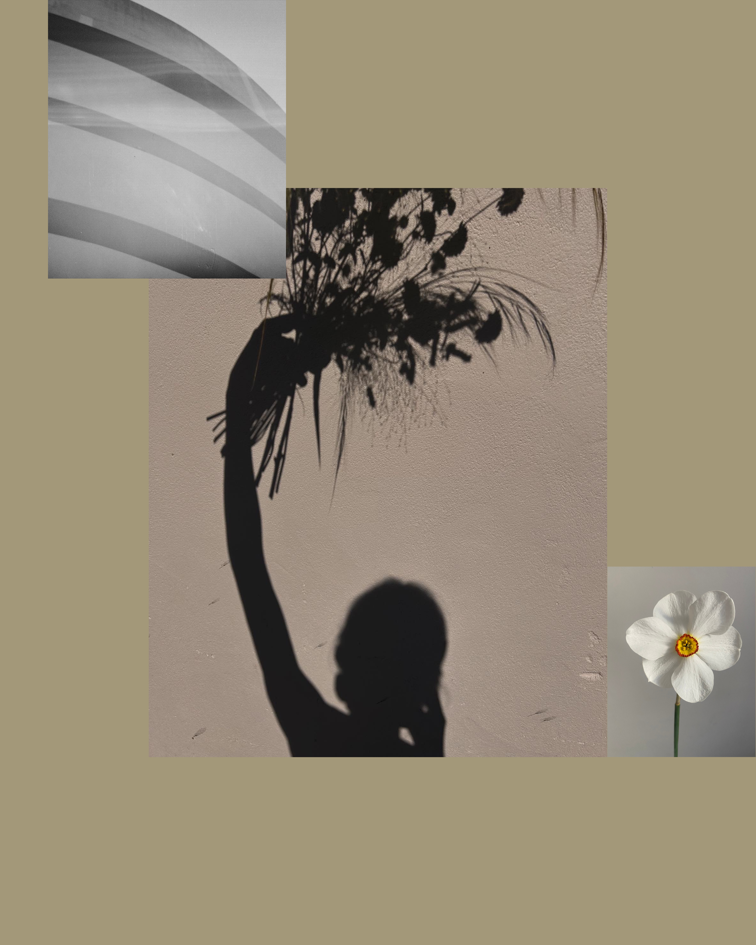 Shadow of a person holding a bouquet of flowers cast on a beige wall, with a white flower and abstract shapes in the background.