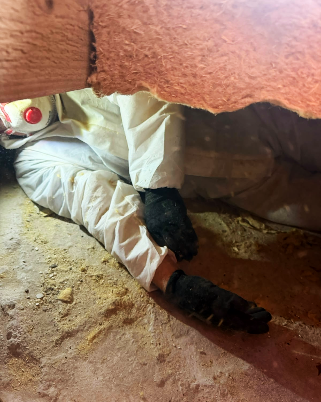 Team in crawl space installed underfloor insulation
