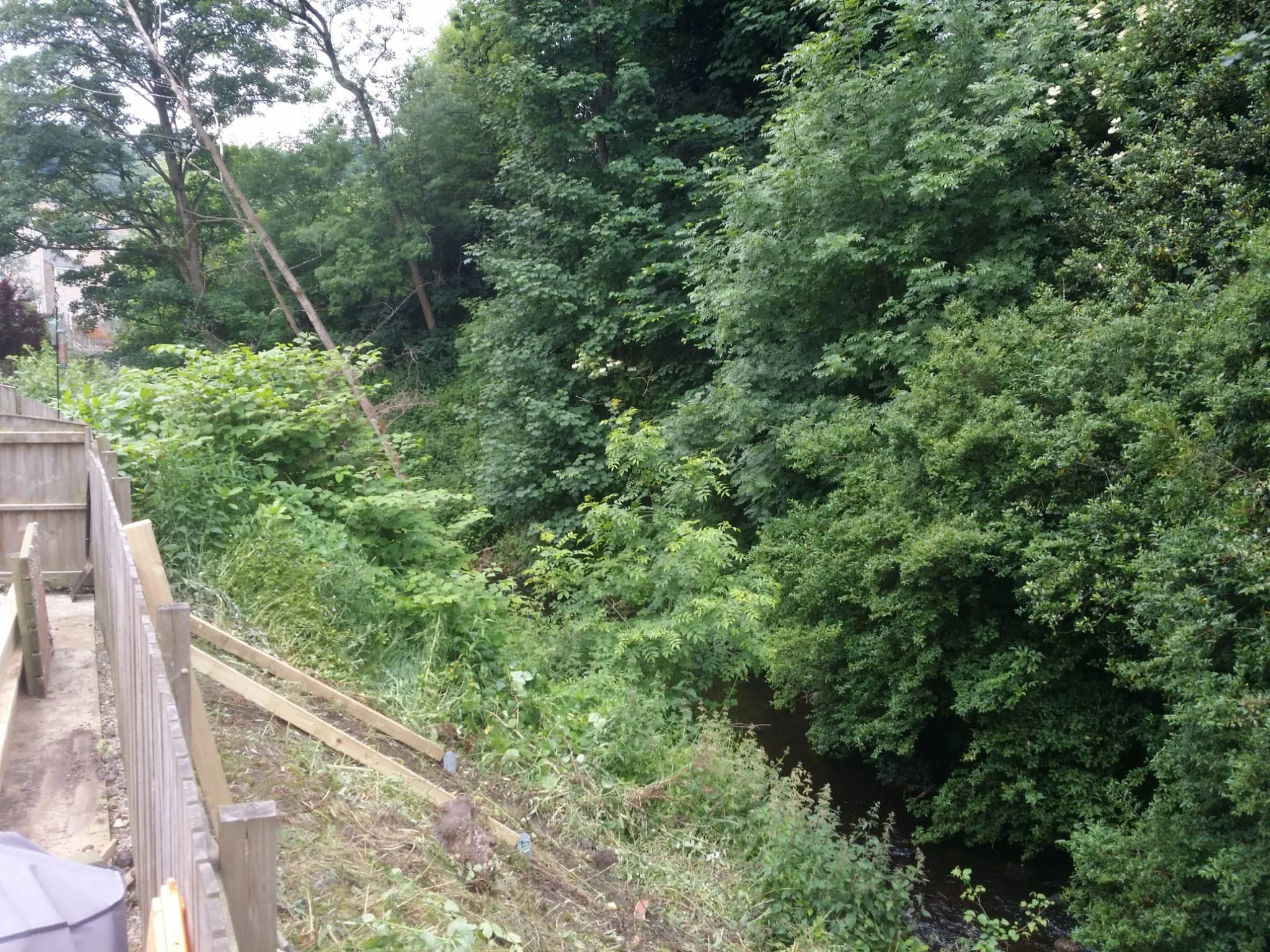 WhatsApp Image 2026-03-12 at 17.13.50 (3).jpeg