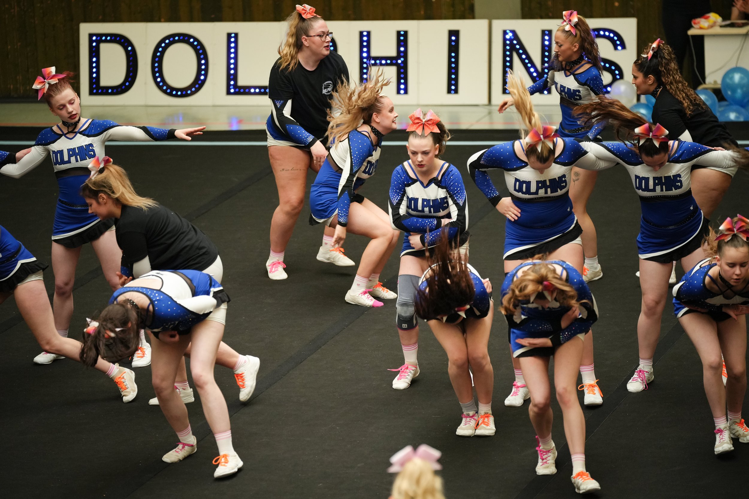 Dolphins (19 of 885).jpg