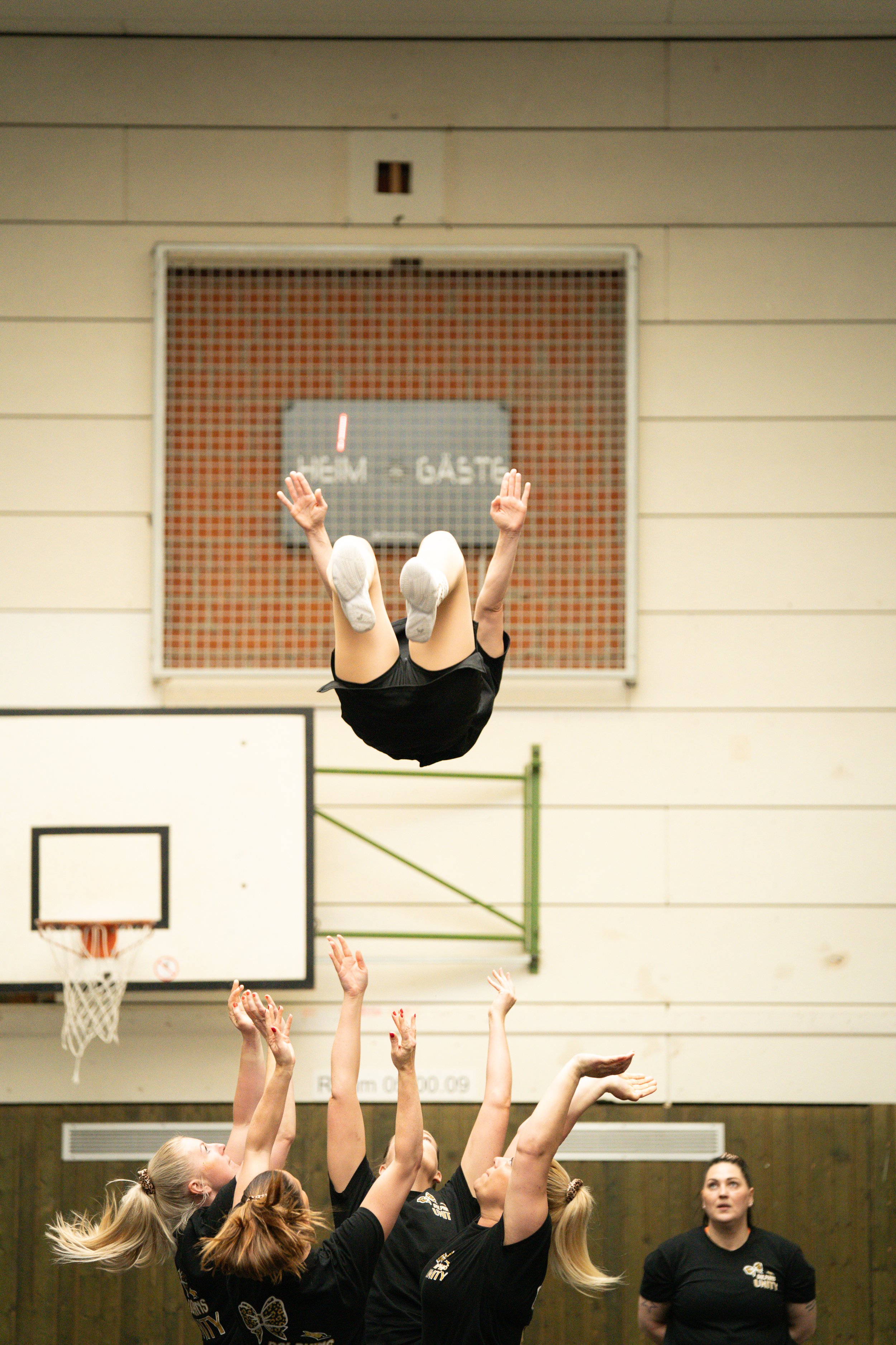 Dolphins (602 of 885).jpg