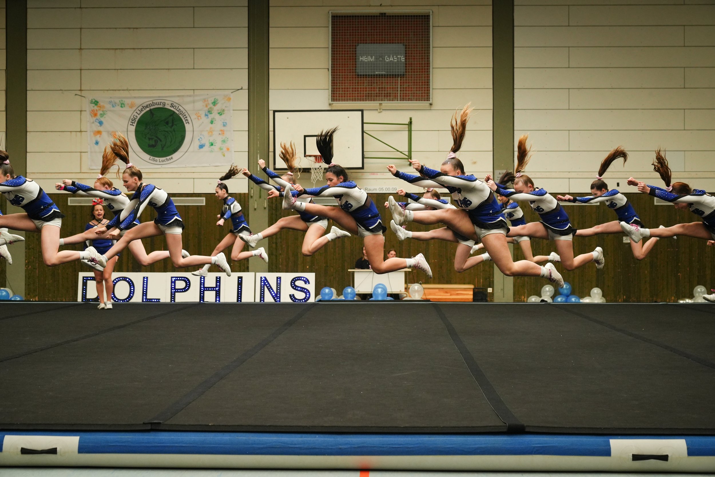 Dolphins (867 of 885).jpg