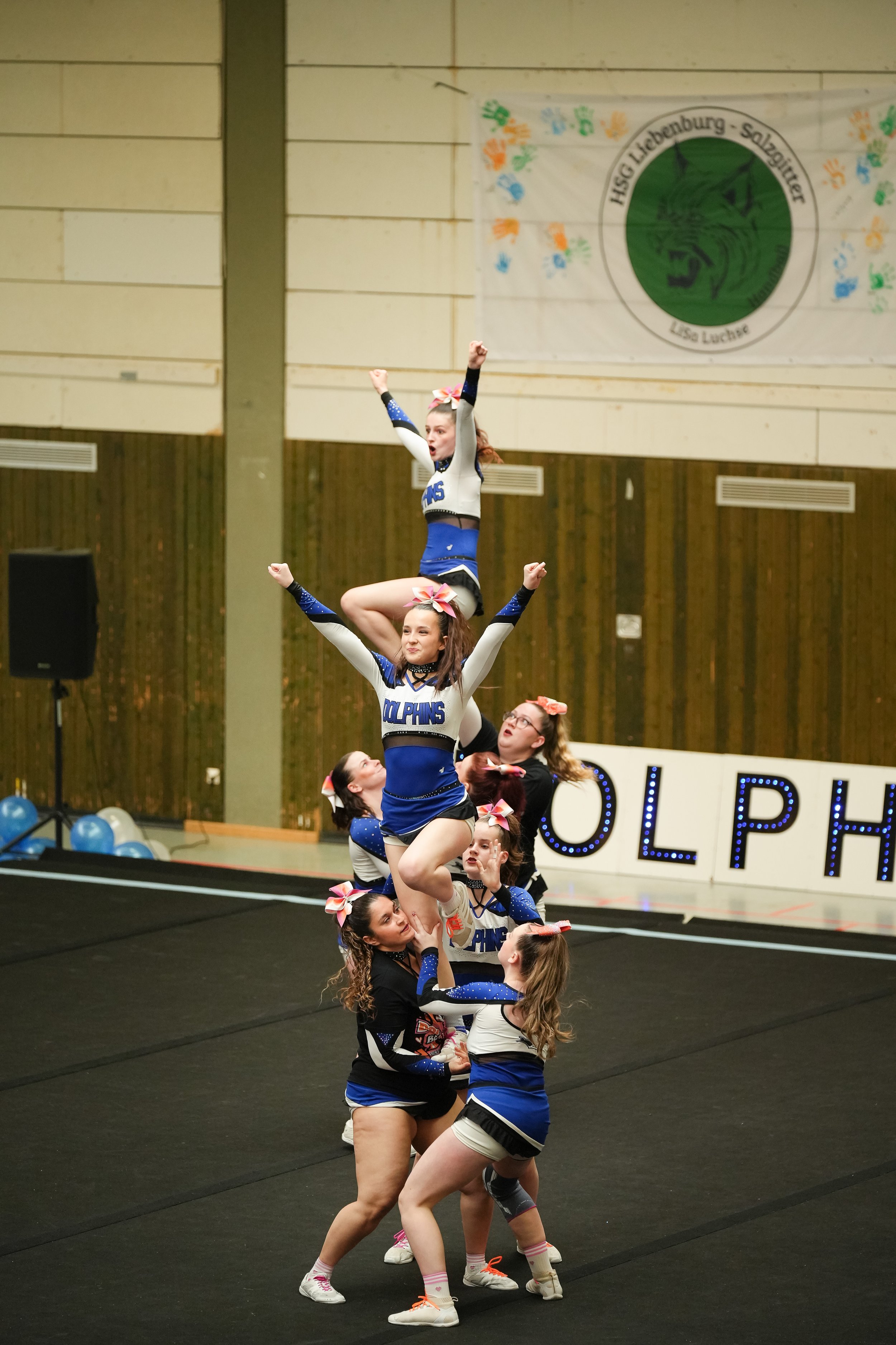 Dolphins (3 of 885).jpg