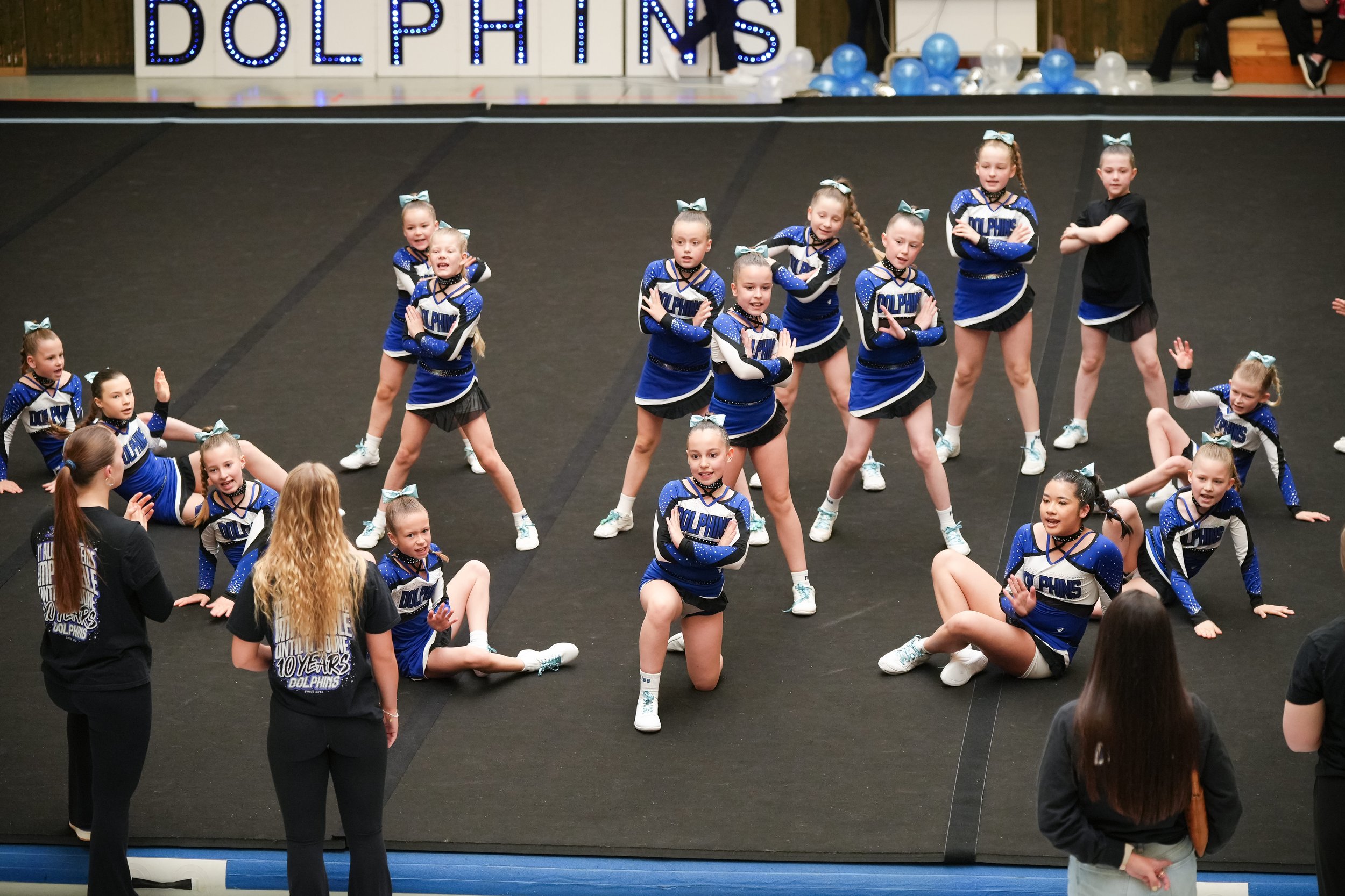 Dolphins (52 of 885).jpg