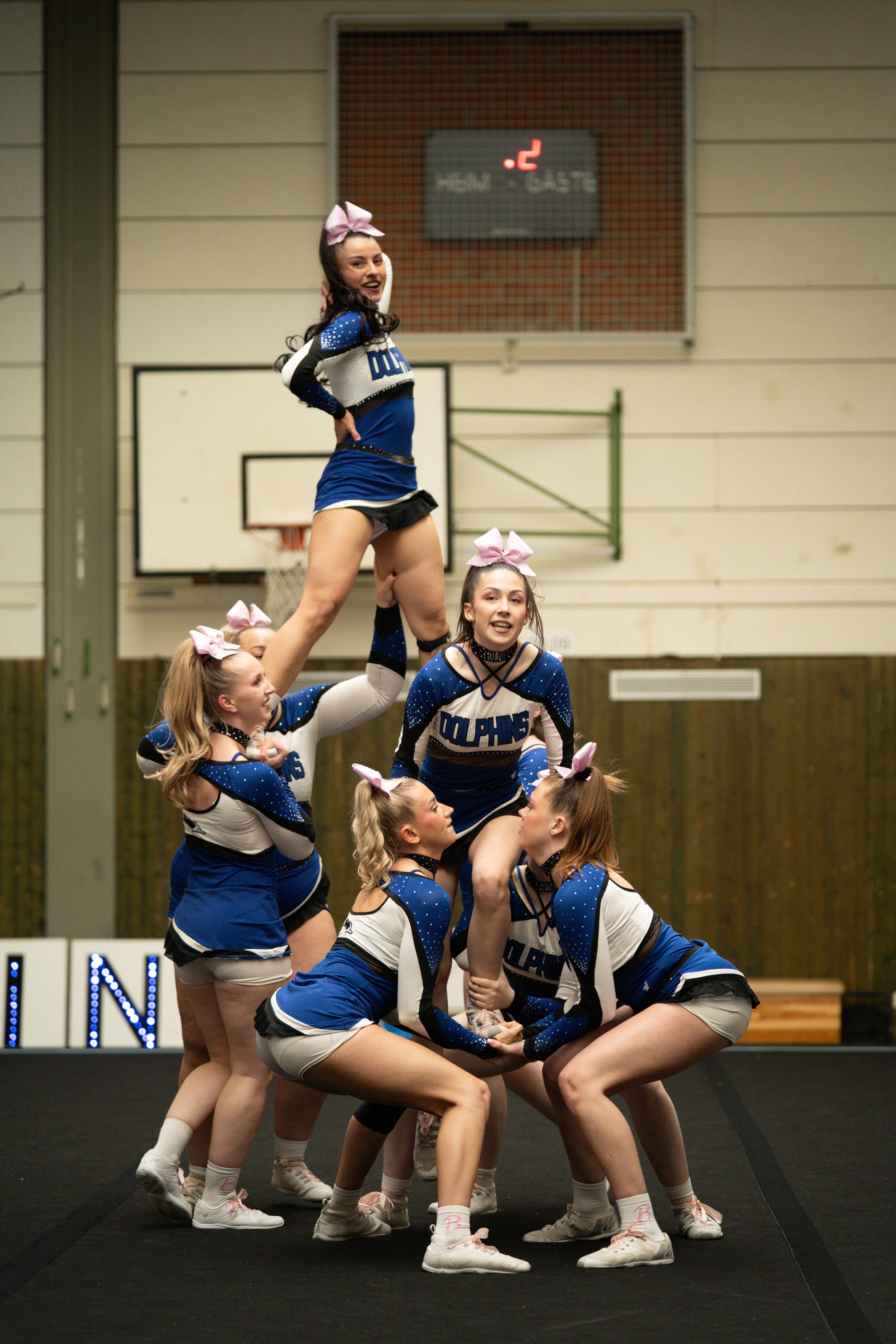 Dolphins (805 of 885).jpg