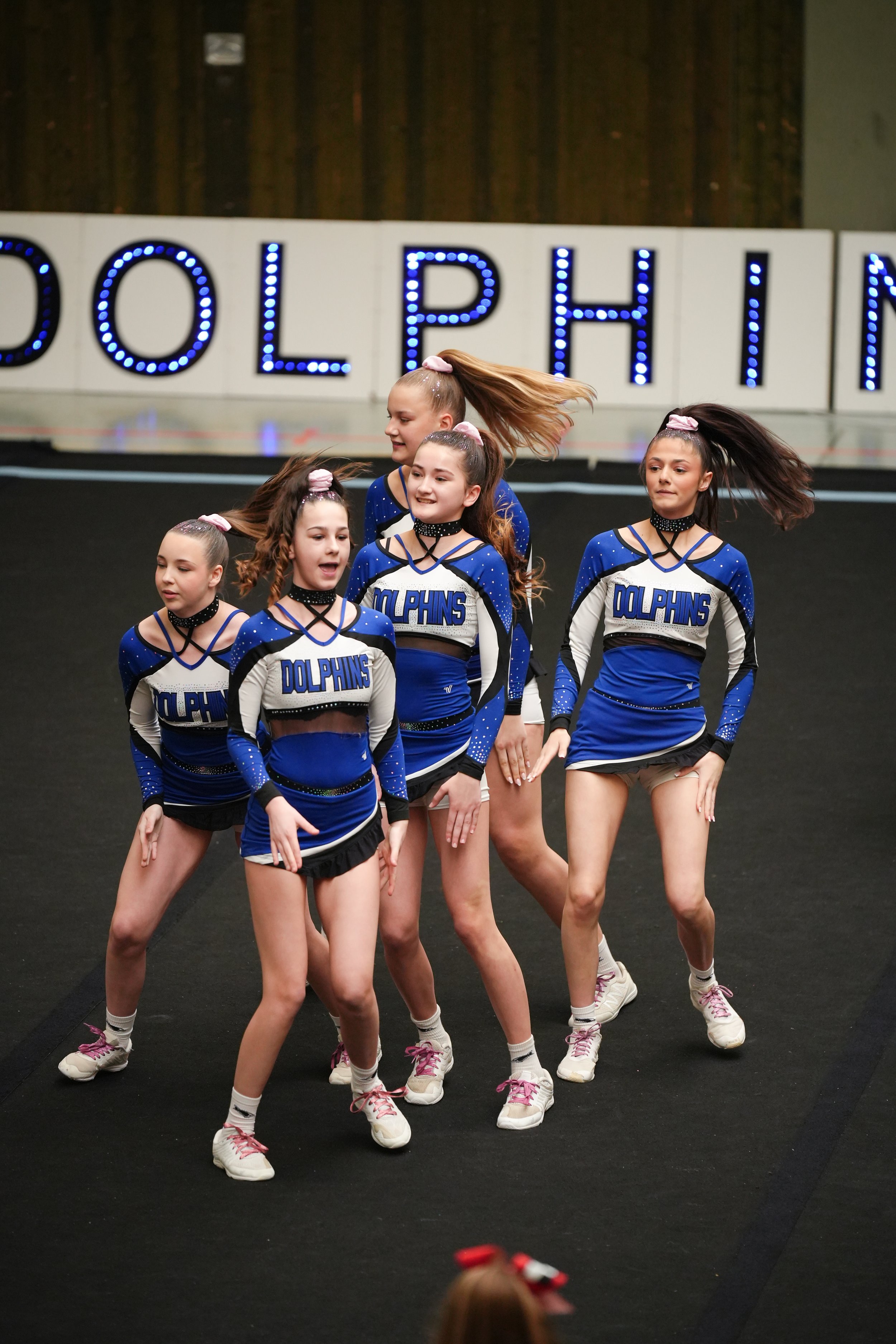 Dolphins (144 of 885).jpg