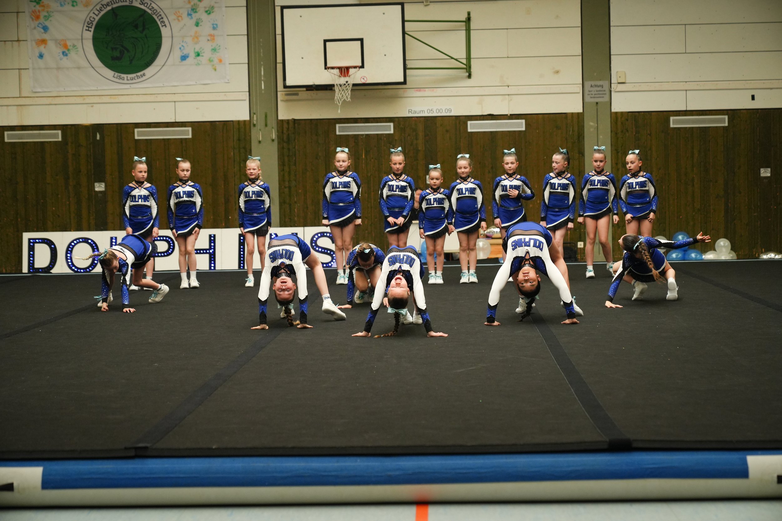 Dolphins (430 of 885).jpg