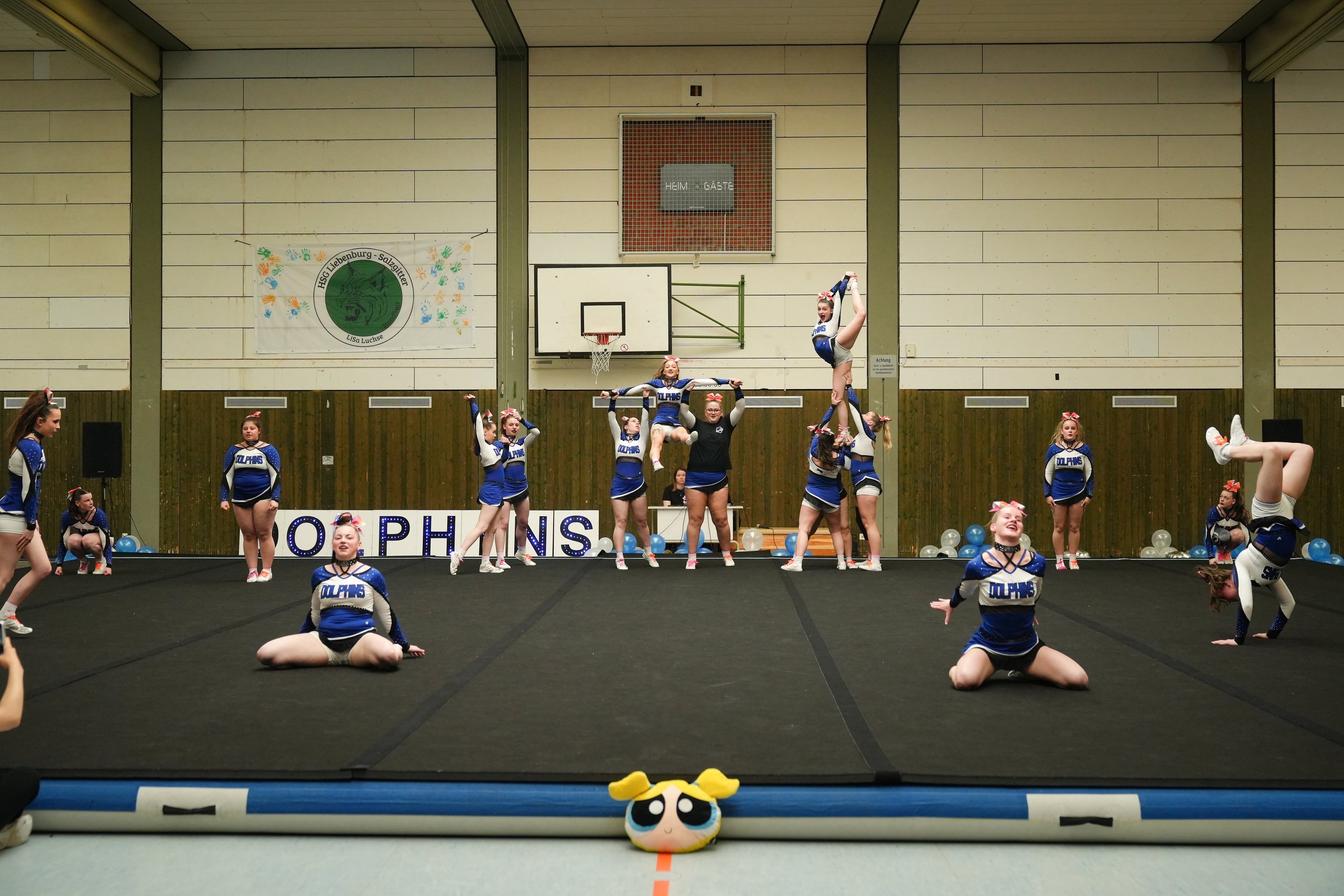 Dolphins (491 of 885).jpg