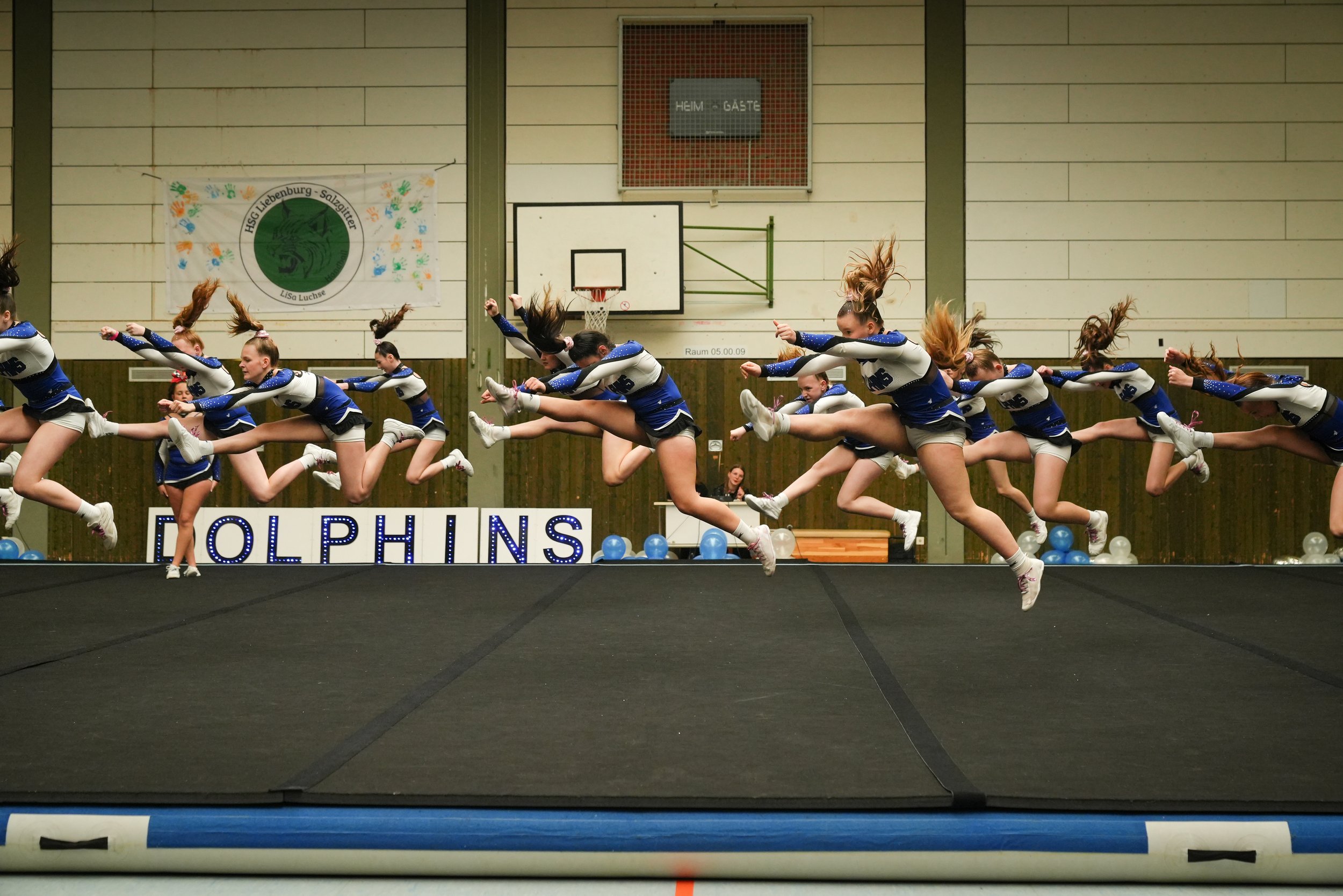 Dolphins (868 of 885).jpg