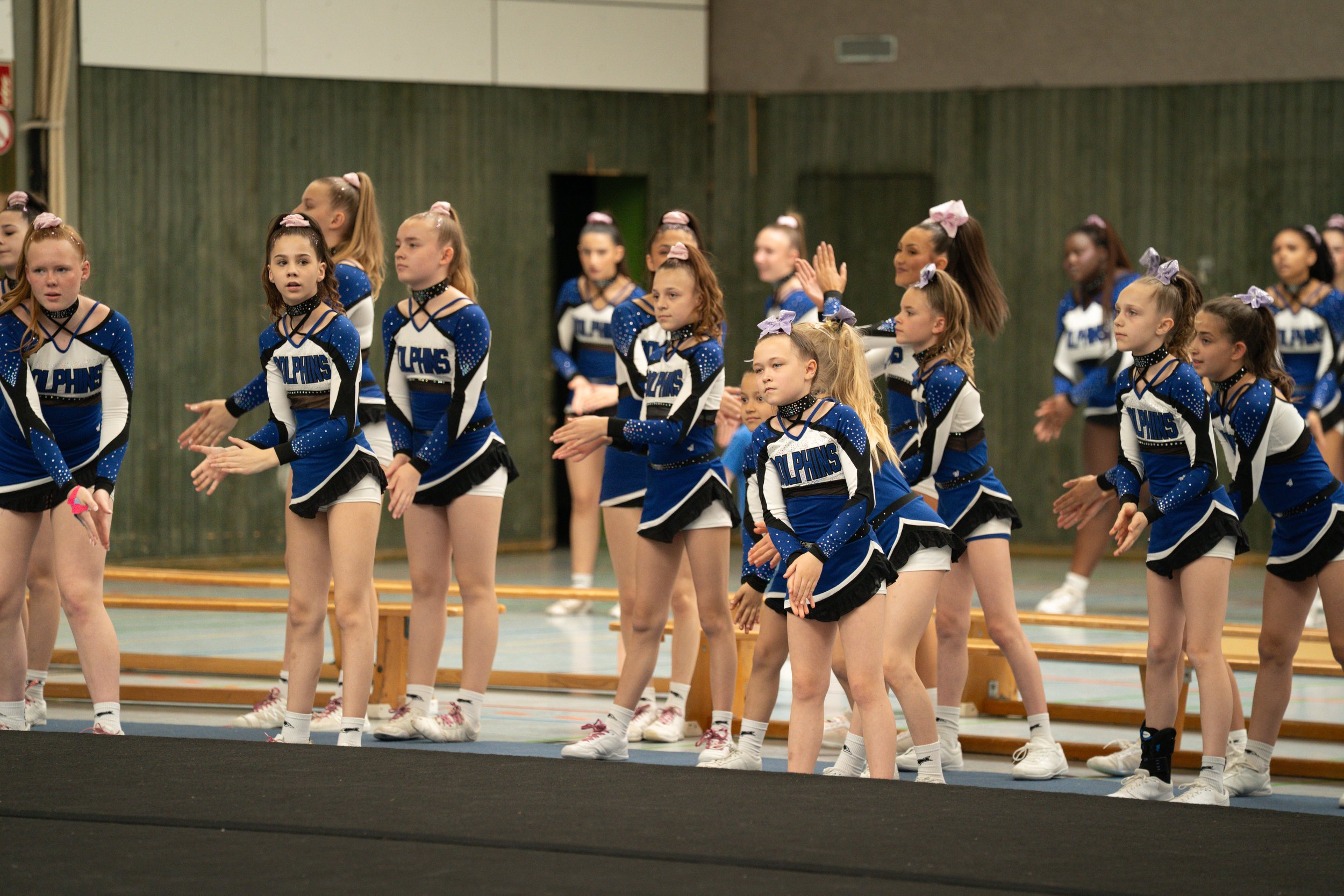 Dolphins (531 of 885).jpg