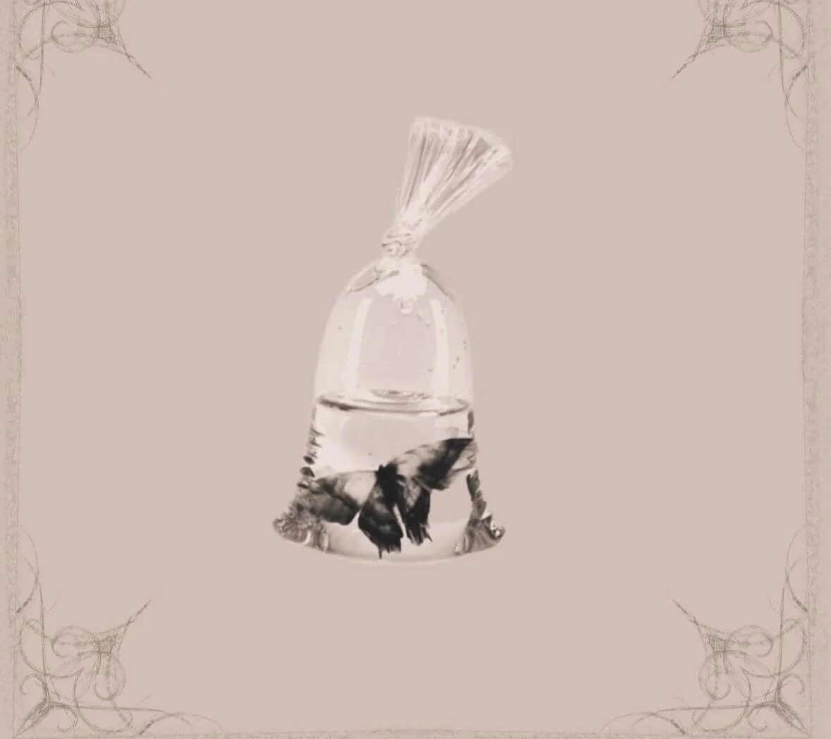 The Suspended Metamorphosis