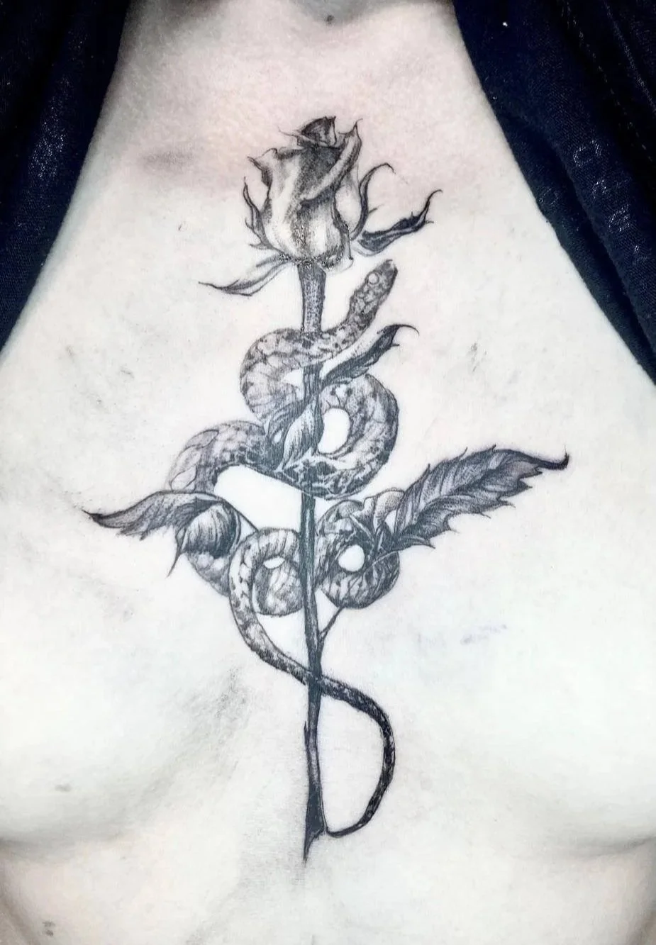 Fine-line snake and rose sternum tattoo — coiled serpent wrapped around dark rose stem on stomach in black and grey by Siren Tattoo, Lucerne