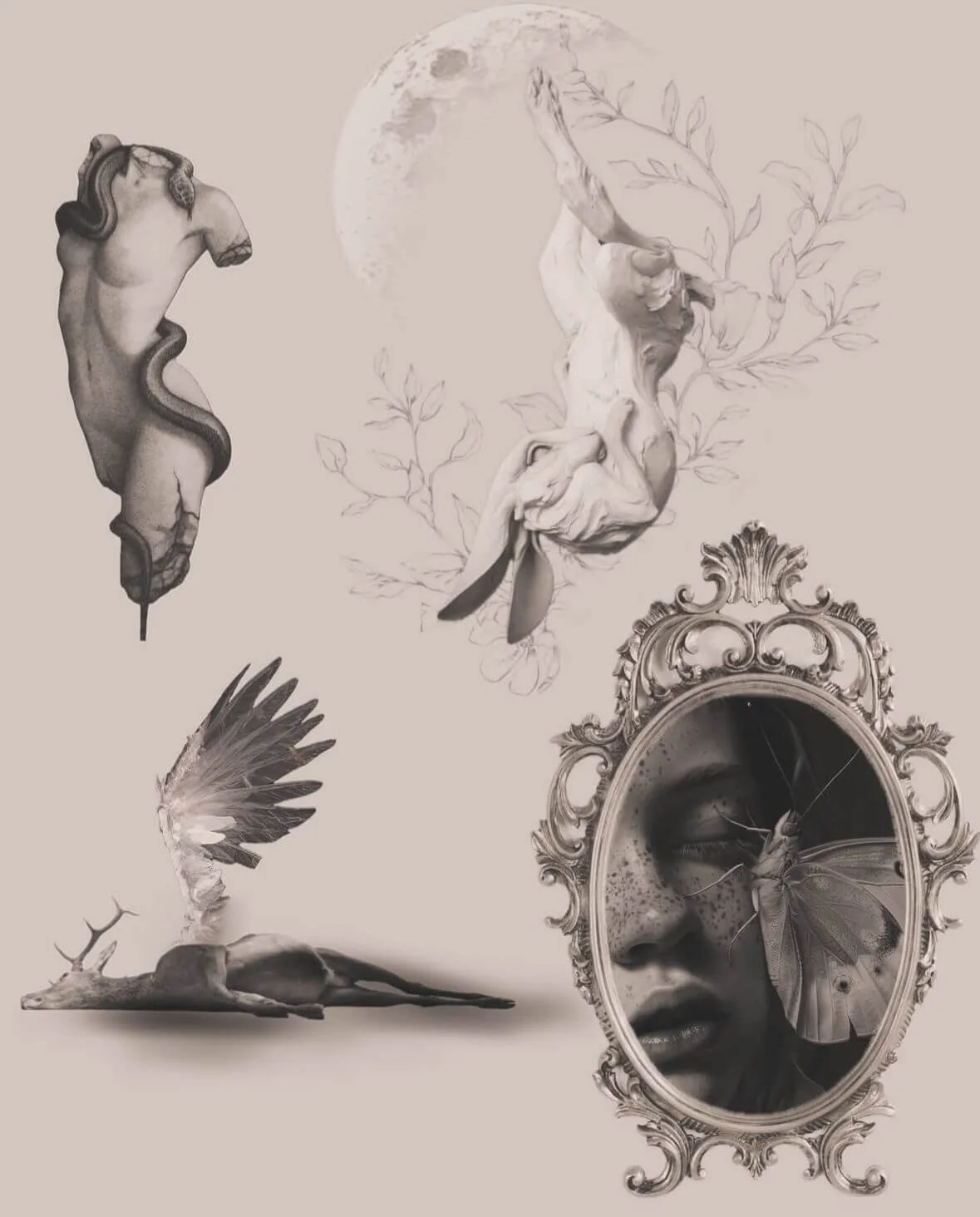 The Architecture of the Interior