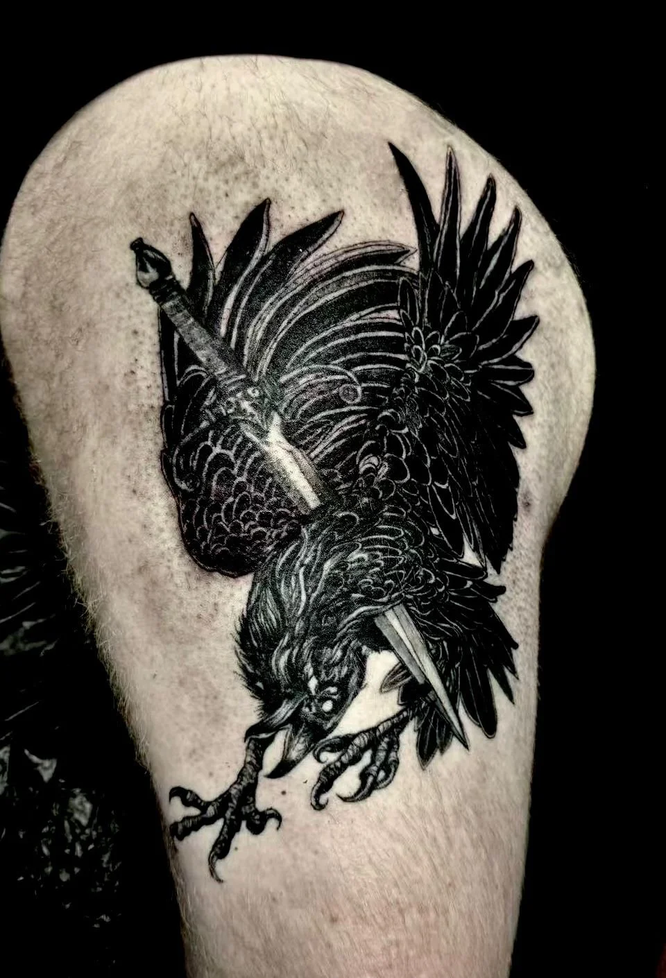 Bold blackwork raven tattoo on shoulder — pierced crow with dagger in solid black illustrative style by Siren Tattoo Lucerne