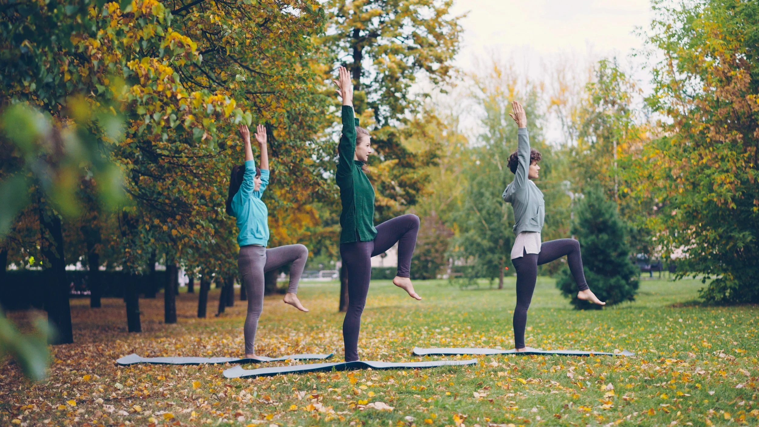Open Level Pilates Matwork