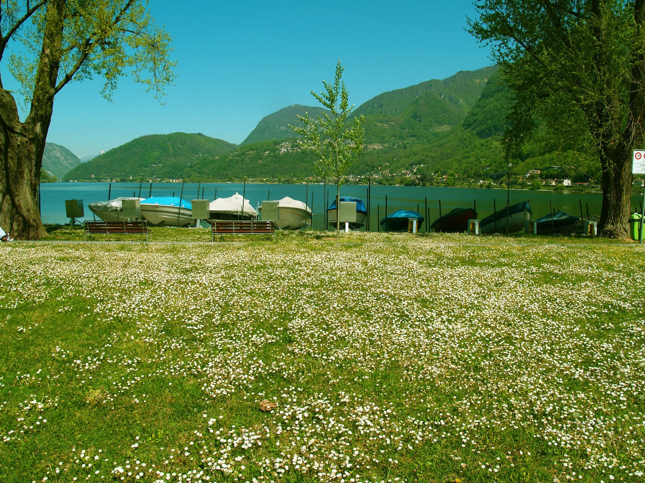 2026-03-06_08-14-21_Lido_fiorito_Capolago.jpg