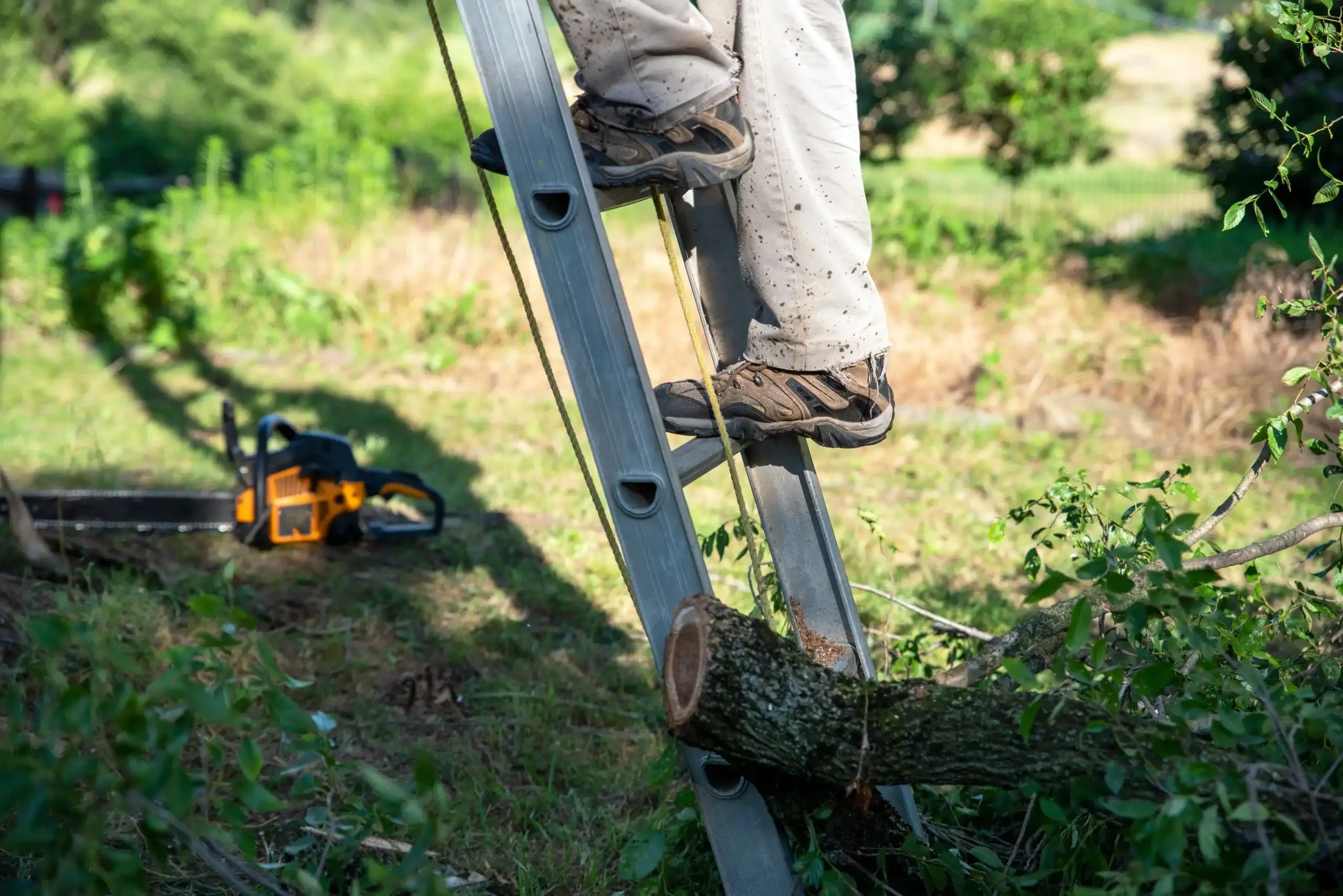 Corso base macchine da cantiere