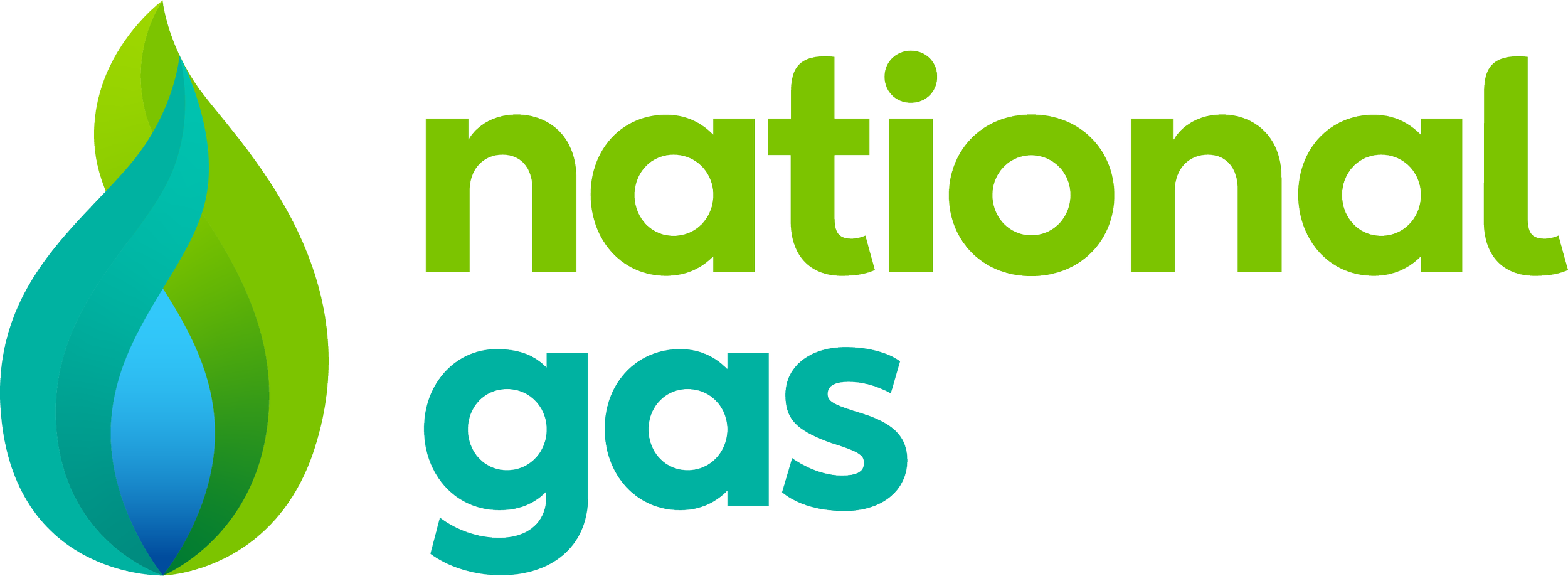 Logo for National Gas, featuring a stylized green and blue leaf and the text 'national gas' in green and blue.