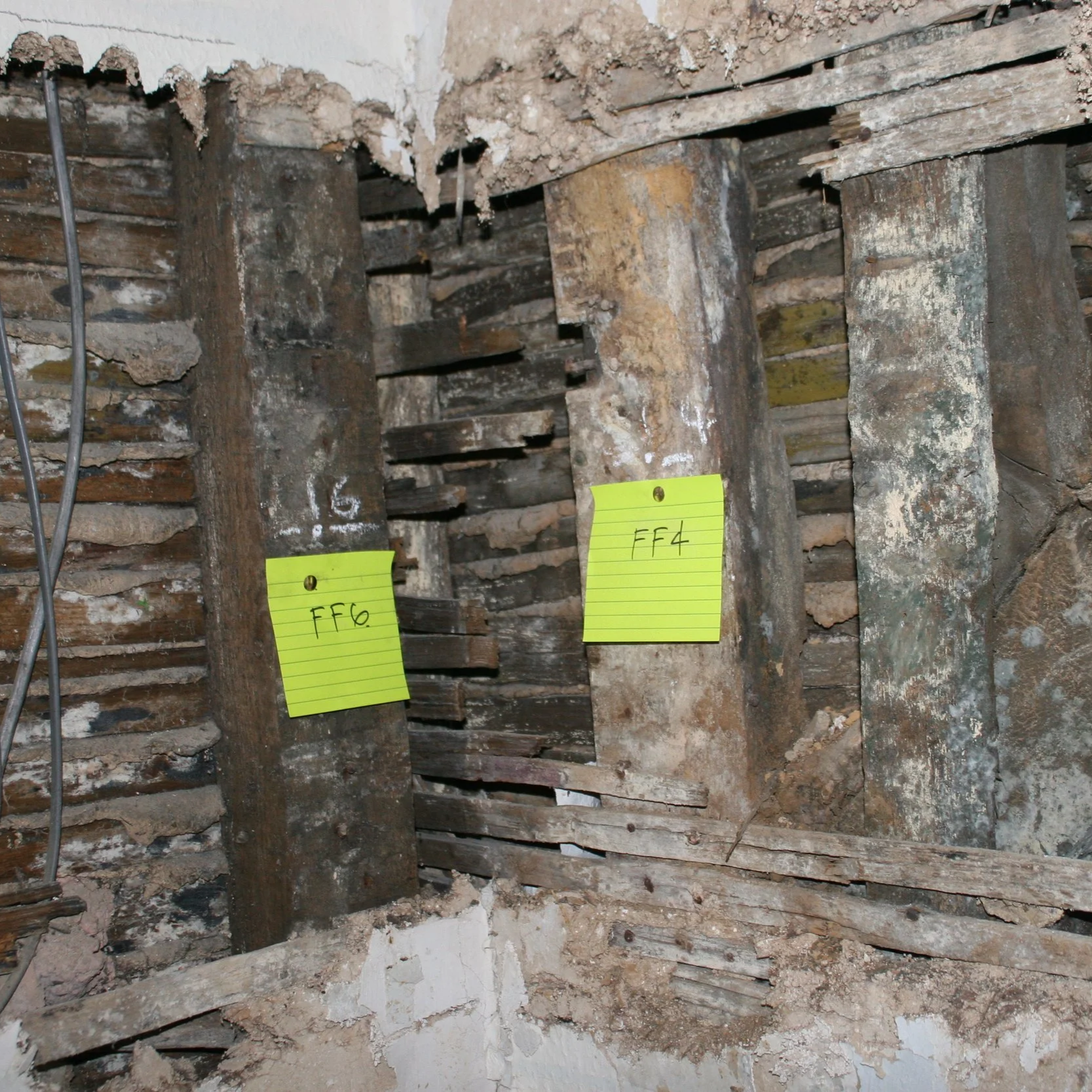 Timber Decay Testing