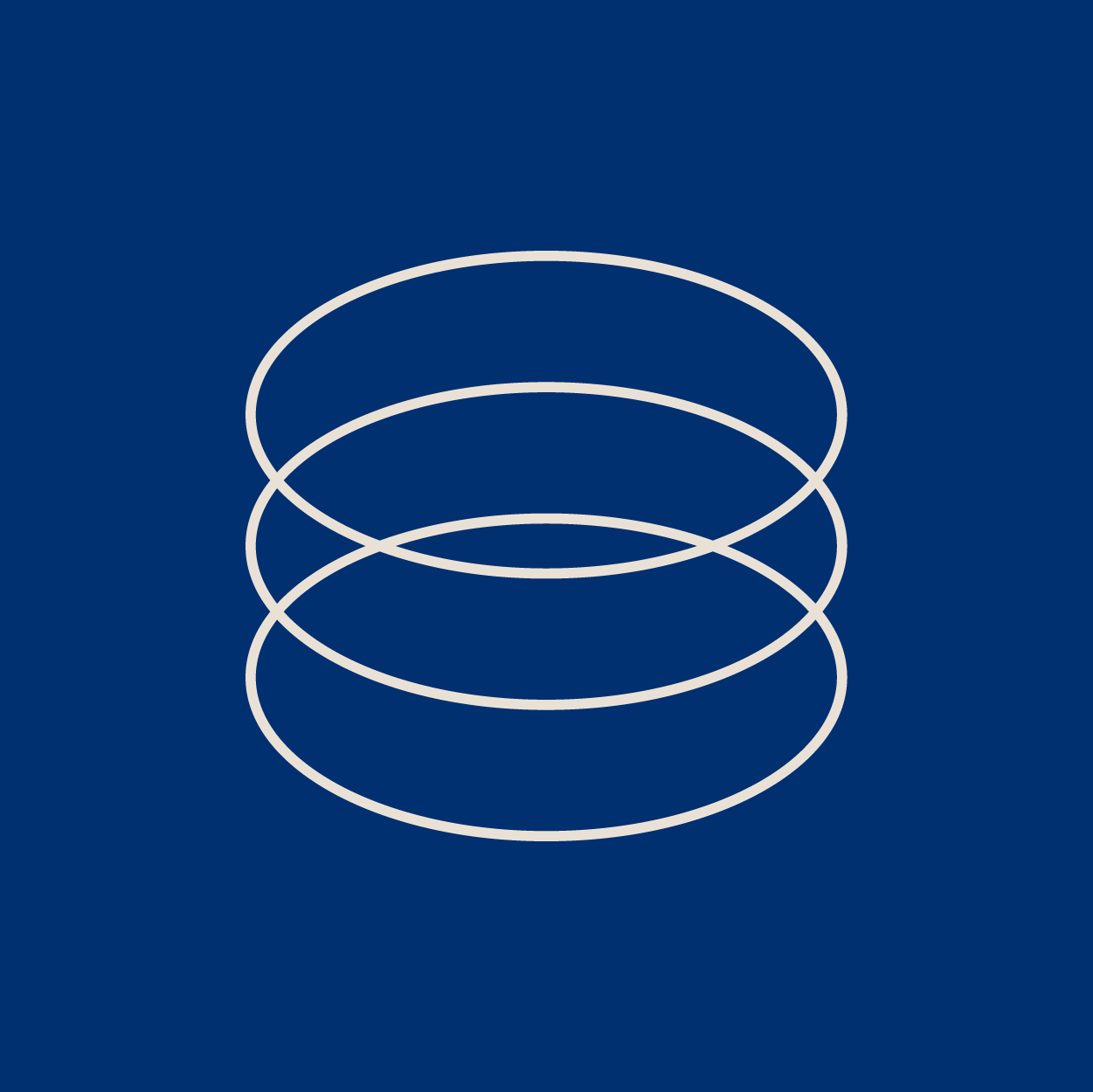 Local knowledge icon. A digital illustration of four white concentric circles on a dark blue background, creating a 3D effect. 