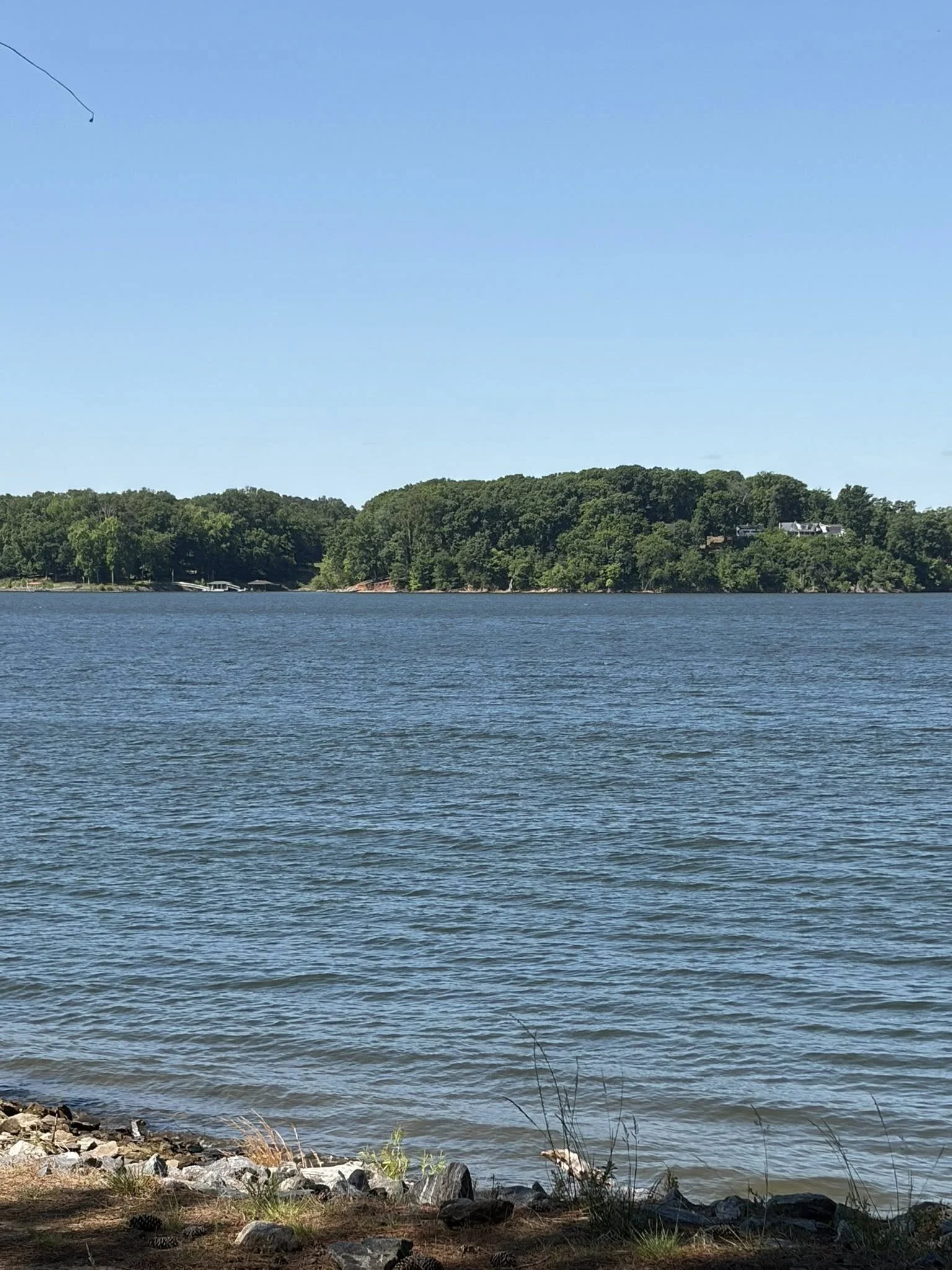 View of a water body with small rocks and grass at the shoreline in the foreground, surrounded by green hills under a clear blue sky.