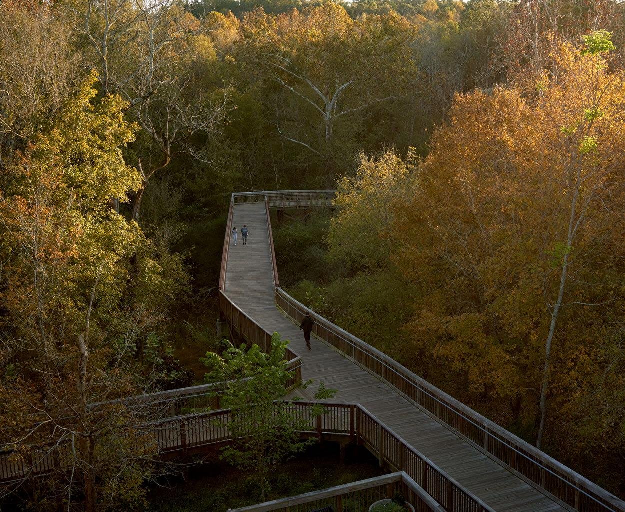 A winding wooden boardwalk through a dense forest with autumn foliage, with people walking along it.