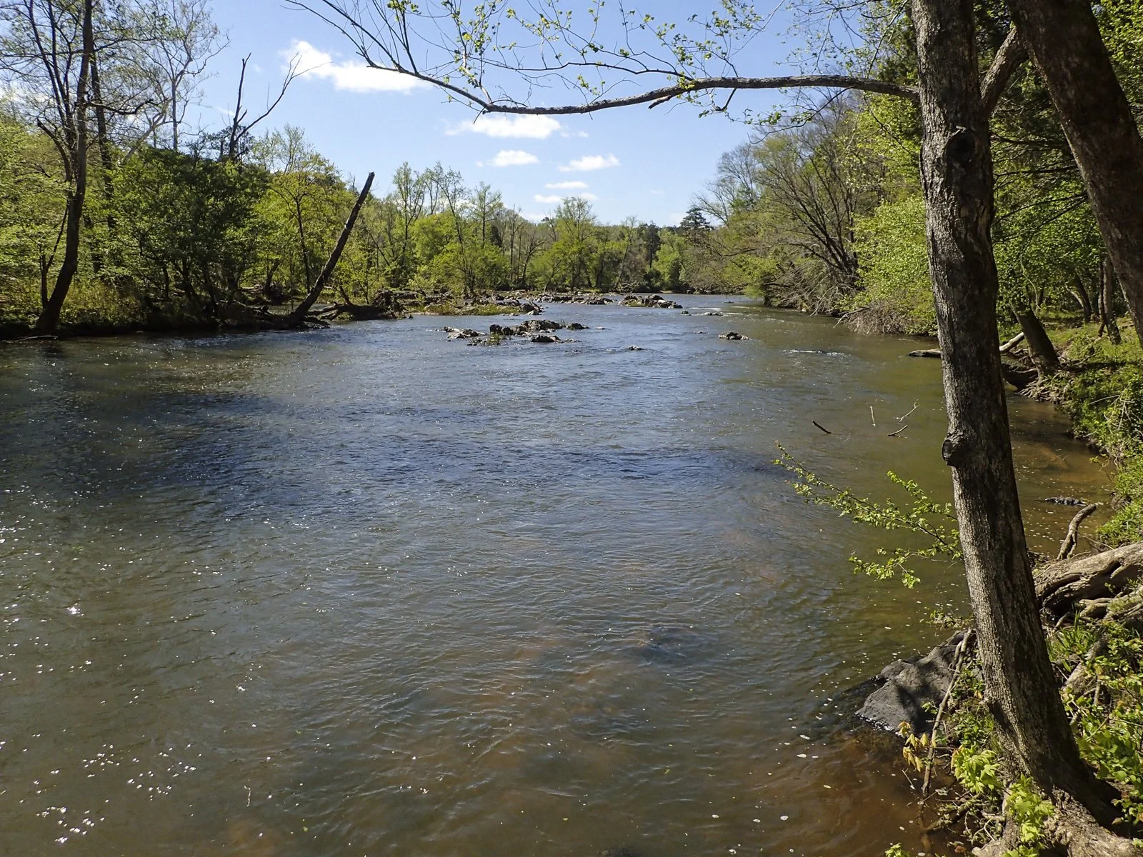haw-river.jpg