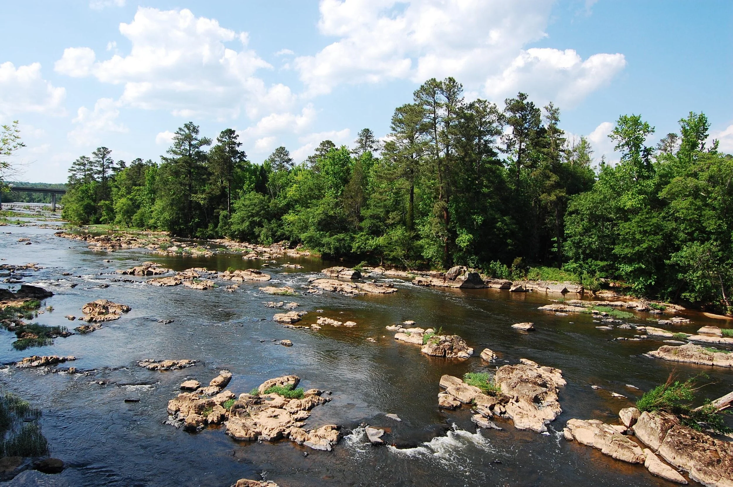 A river flowing through a forested area on a bright, sunny day with a blue sky and scattered white clouds.