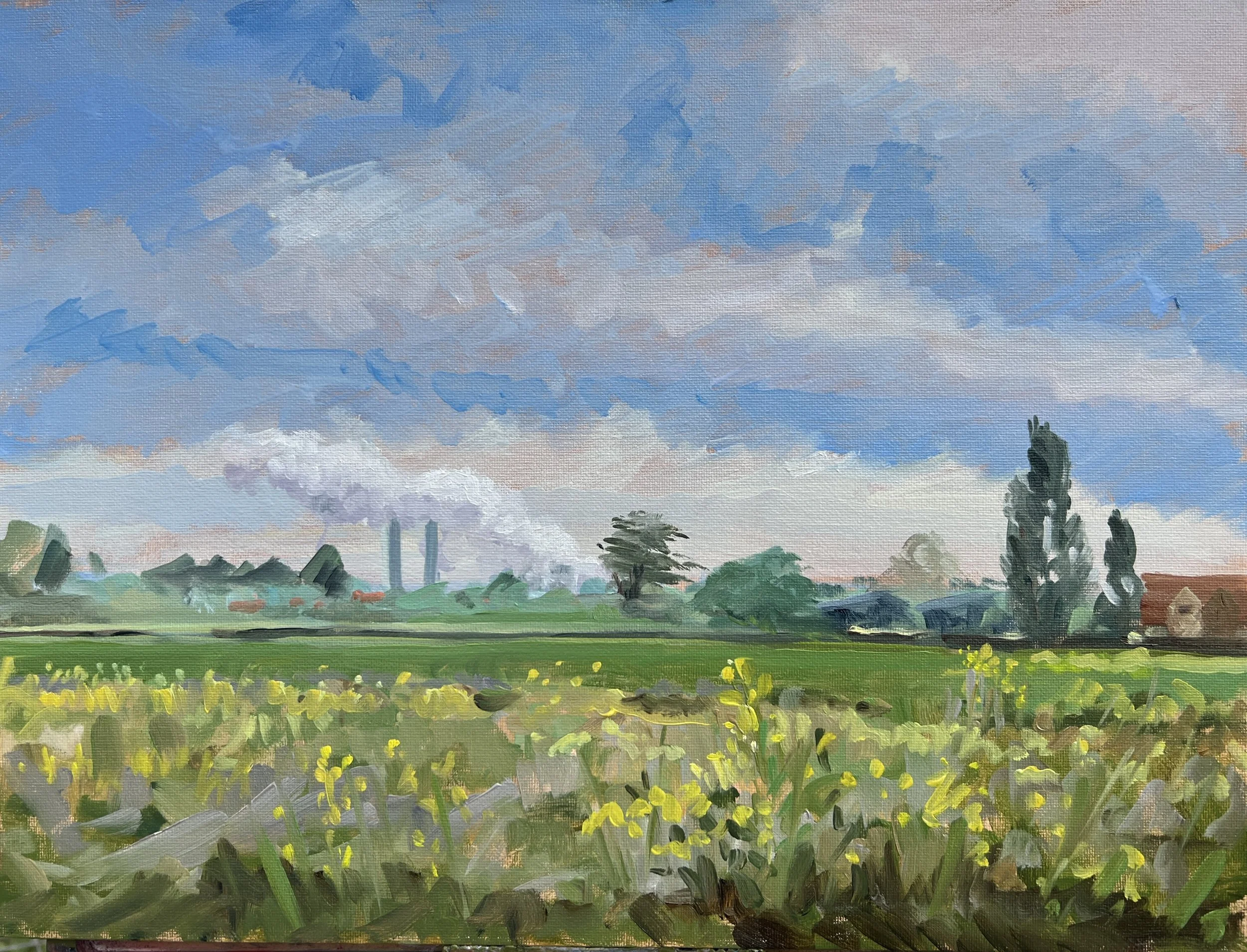 Early Spring Morning on Pooleys Meadow