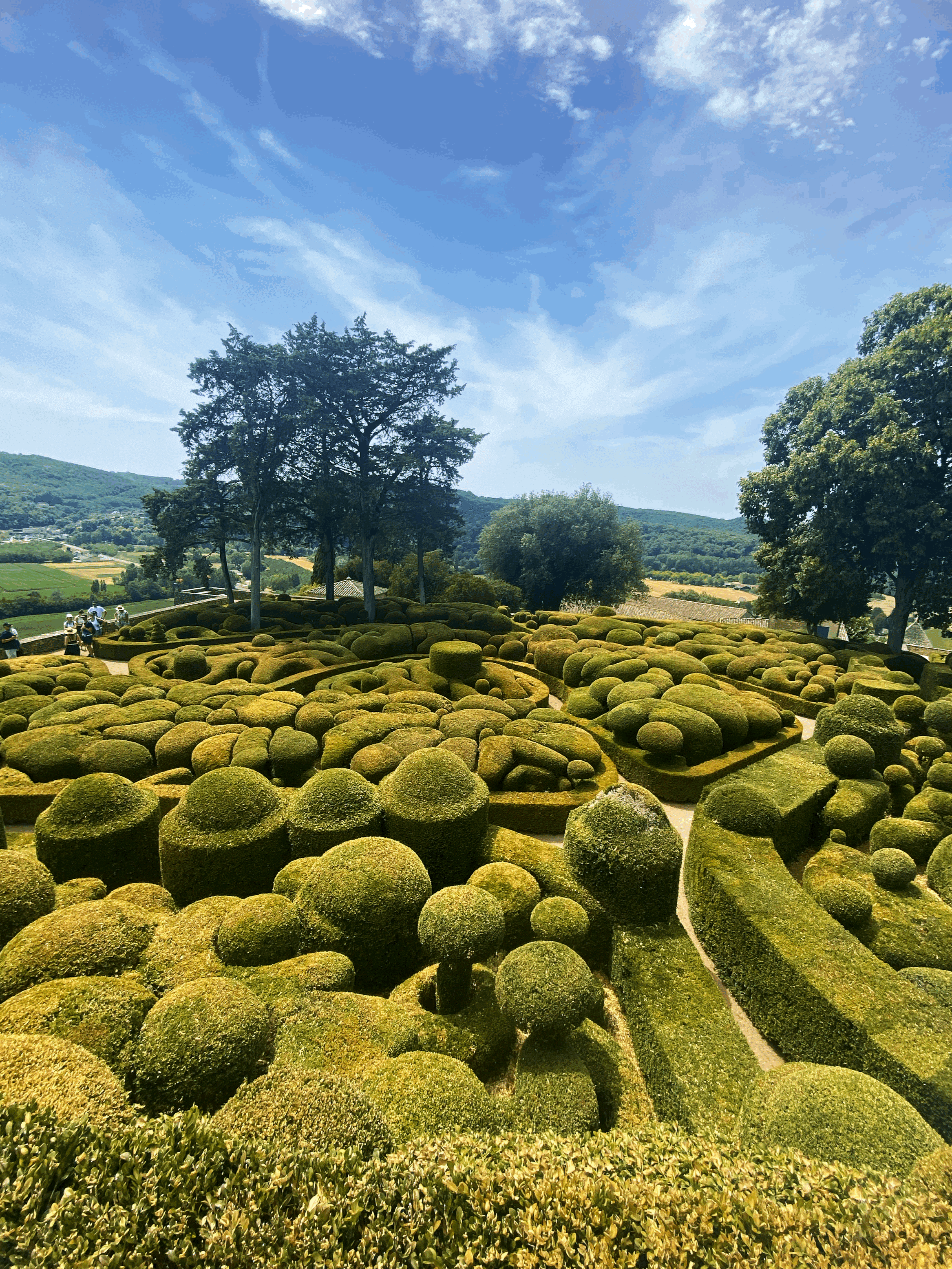 Visitare i Jardins de Marqueyssac: guida completa e consigli utili