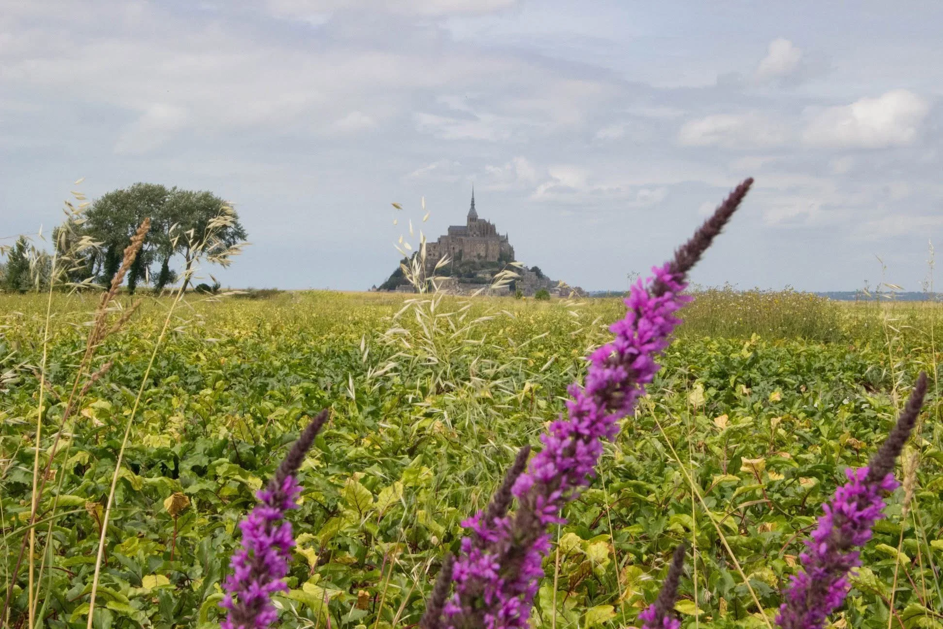 mont saint michel normandia